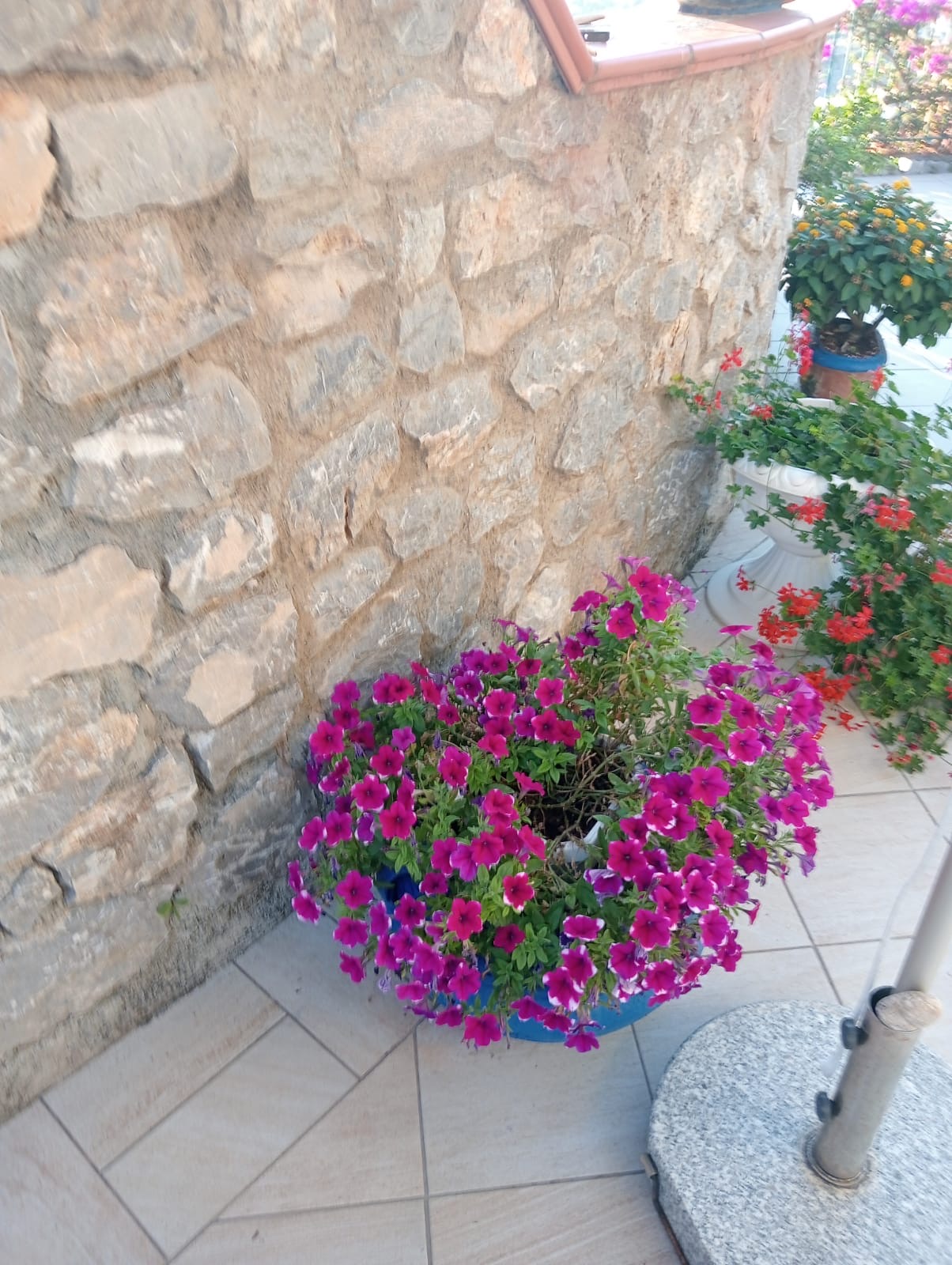 Luxurious Villa San Nicola Arcella - 360° Views, 5 Terraces, Arco Magno and Dinosaur Island.