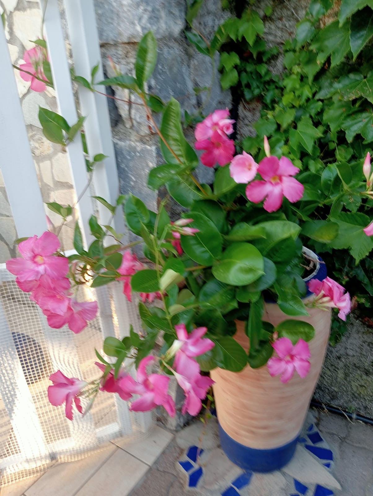 Luxurious Villa San Nicola Arcella - 360° Views, 5 Terraces, Arco Magno and Dinosaur Island.