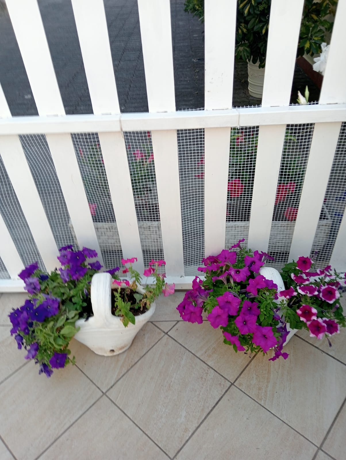 Luxurious Villa San Nicola Arcella - 360° Views, 5 Terraces, Arco Magno and Dinosaur Island.