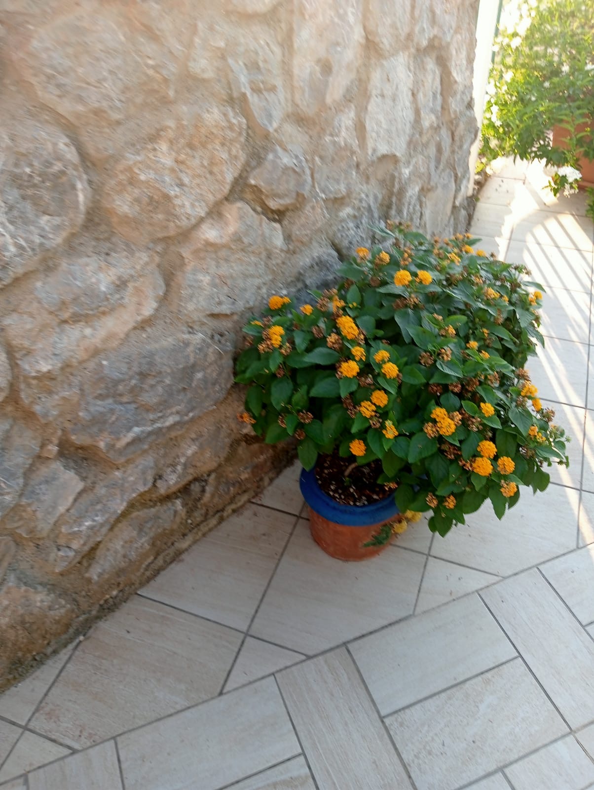 Luxurious Villa San Nicola Arcella - 360° Views, 5 Terraces, Arco Magno and Dinosaur Island.