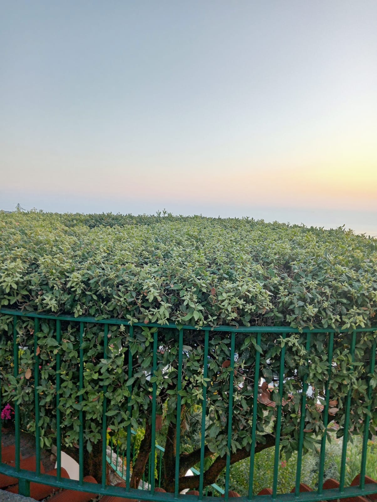 Luxurious Villa San Nicola Arcella - 360° Views, 5 Terraces, Arco Magno and Dinosaur Island.