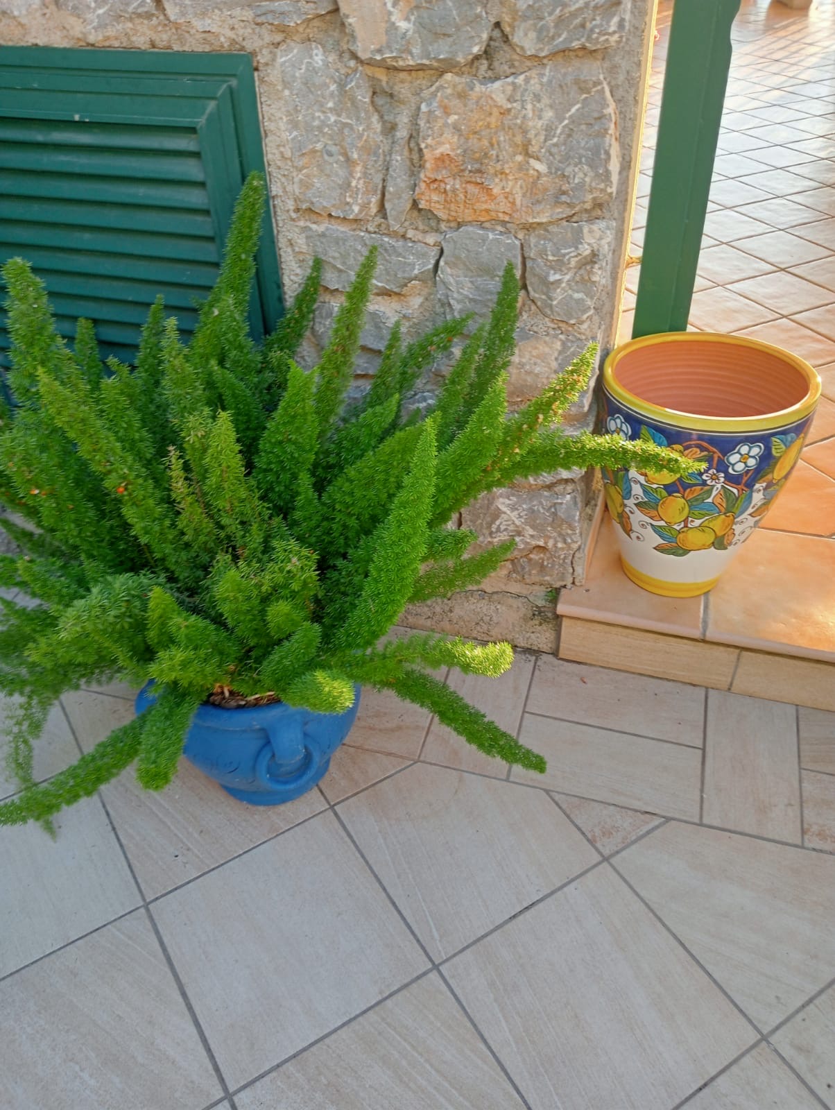 Luxurious Villa San Nicola Arcella - 360° Views, 5 Terraces, Arco Magno and Dinosaur Island.