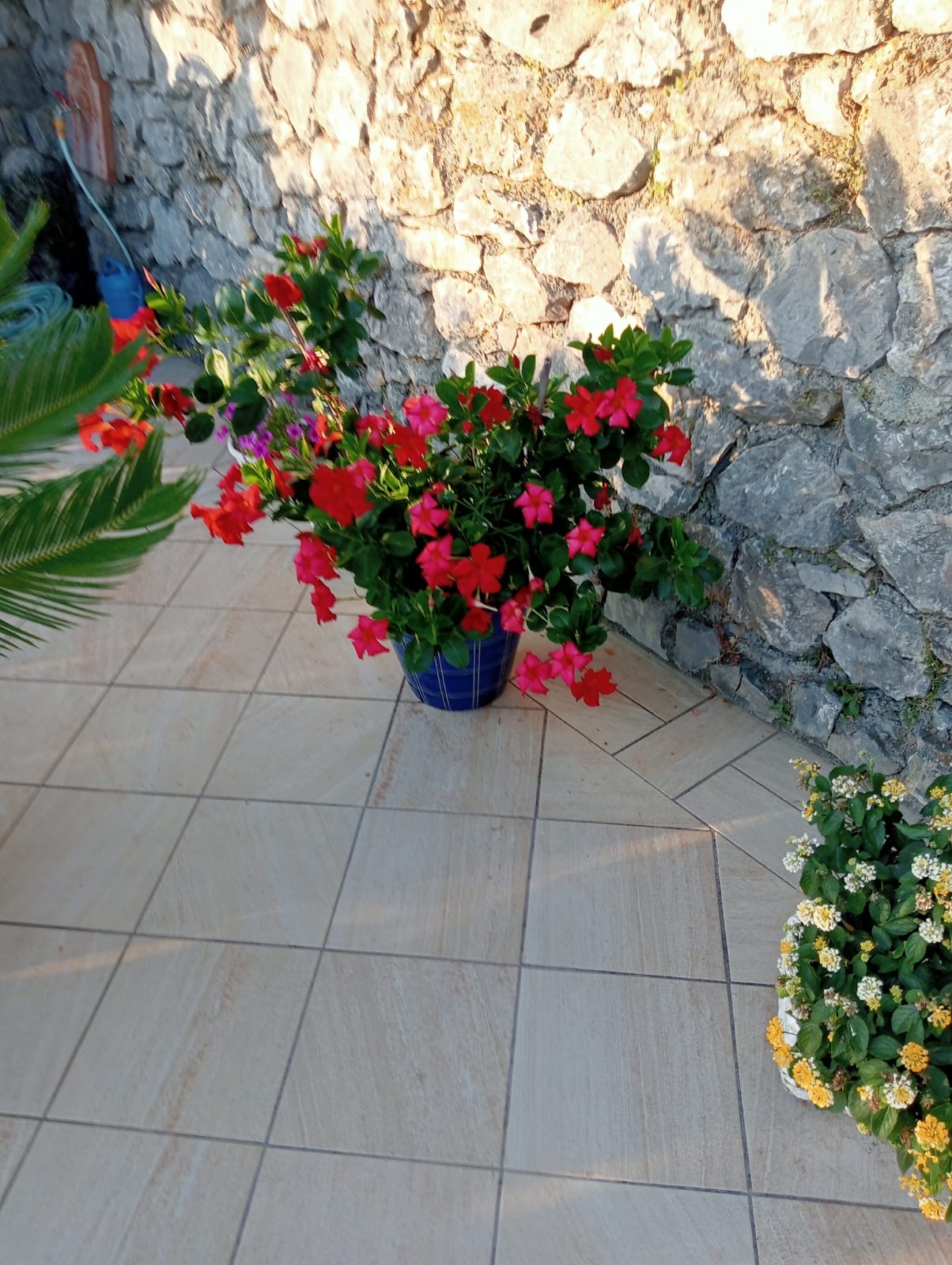 Luxurious Villa San Nicola Arcella - 360° Views, 5 Terraces, Arco Magno and Dinosaur Island.