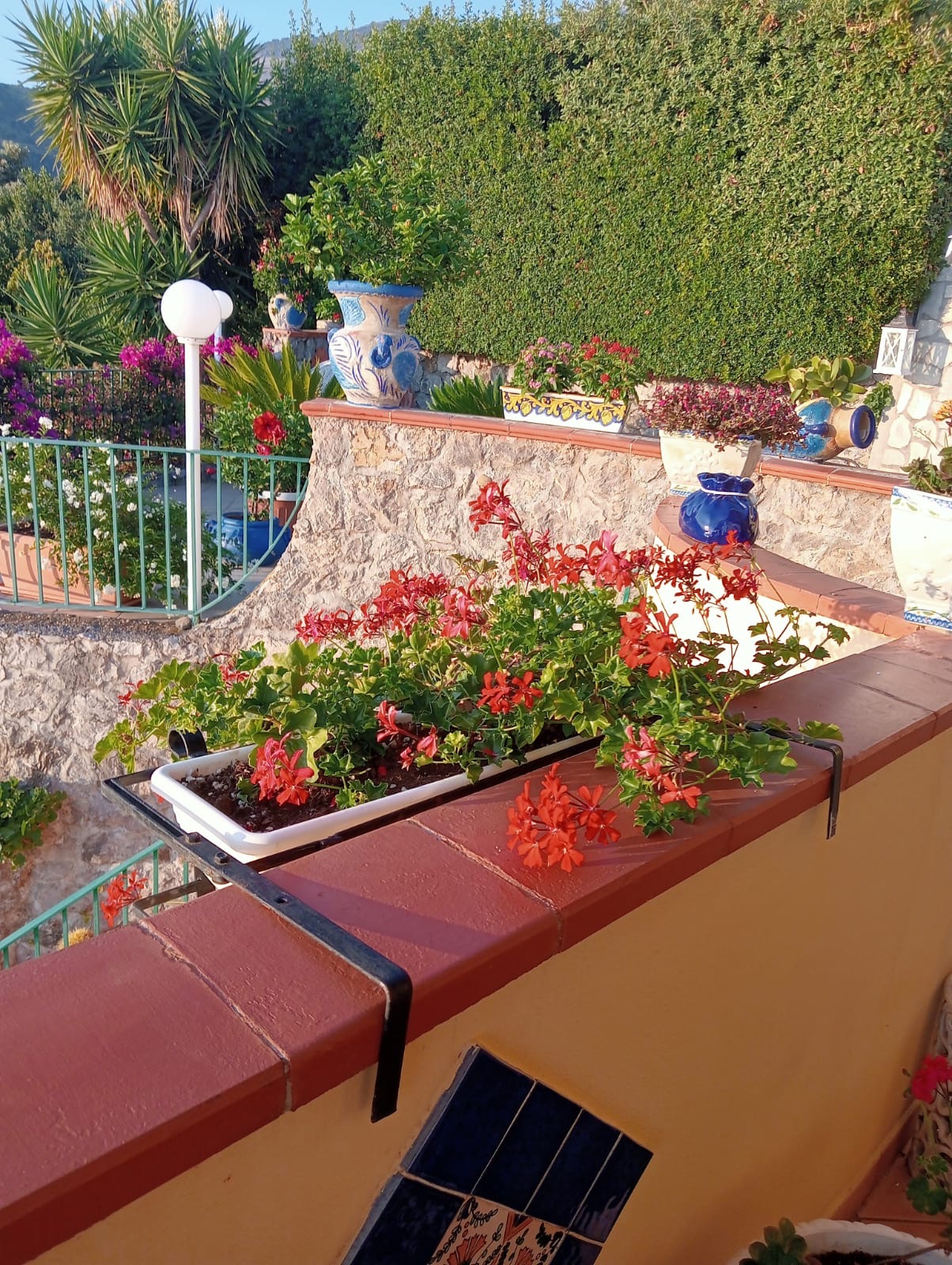 Luxurious Villa San Nicola Arcella - 360° Views, 5 Terraces, Arco Magno and Dinosaur Island.