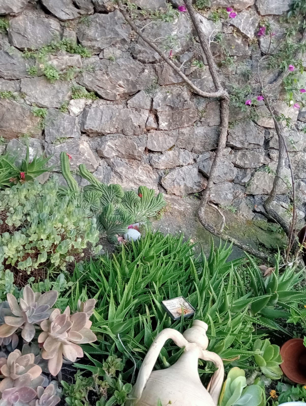 Luxurious Villa San Nicola Arcella - 360° Views, 5 Terraces, Arco Magno and Dinosaur Island.