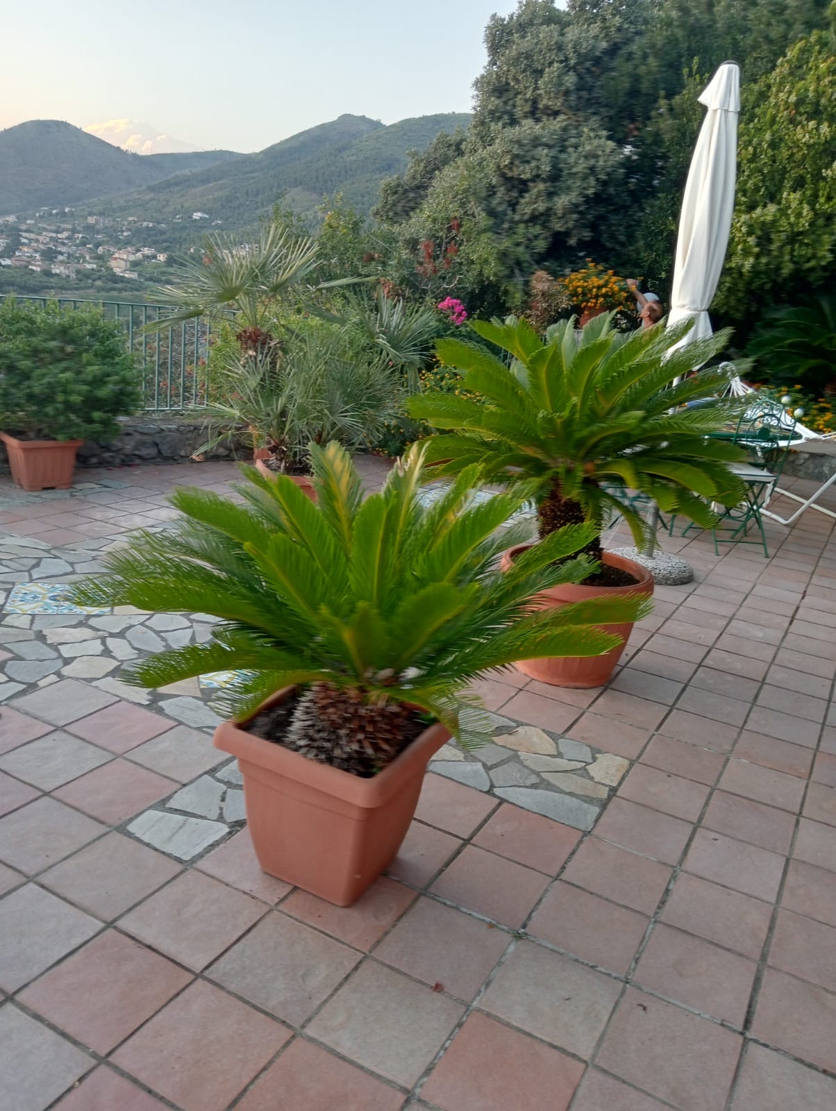 Luxurious Villa San Nicola Arcella - 360° Views, 5 Terraces, Arco Magno and Dinosaur Island.