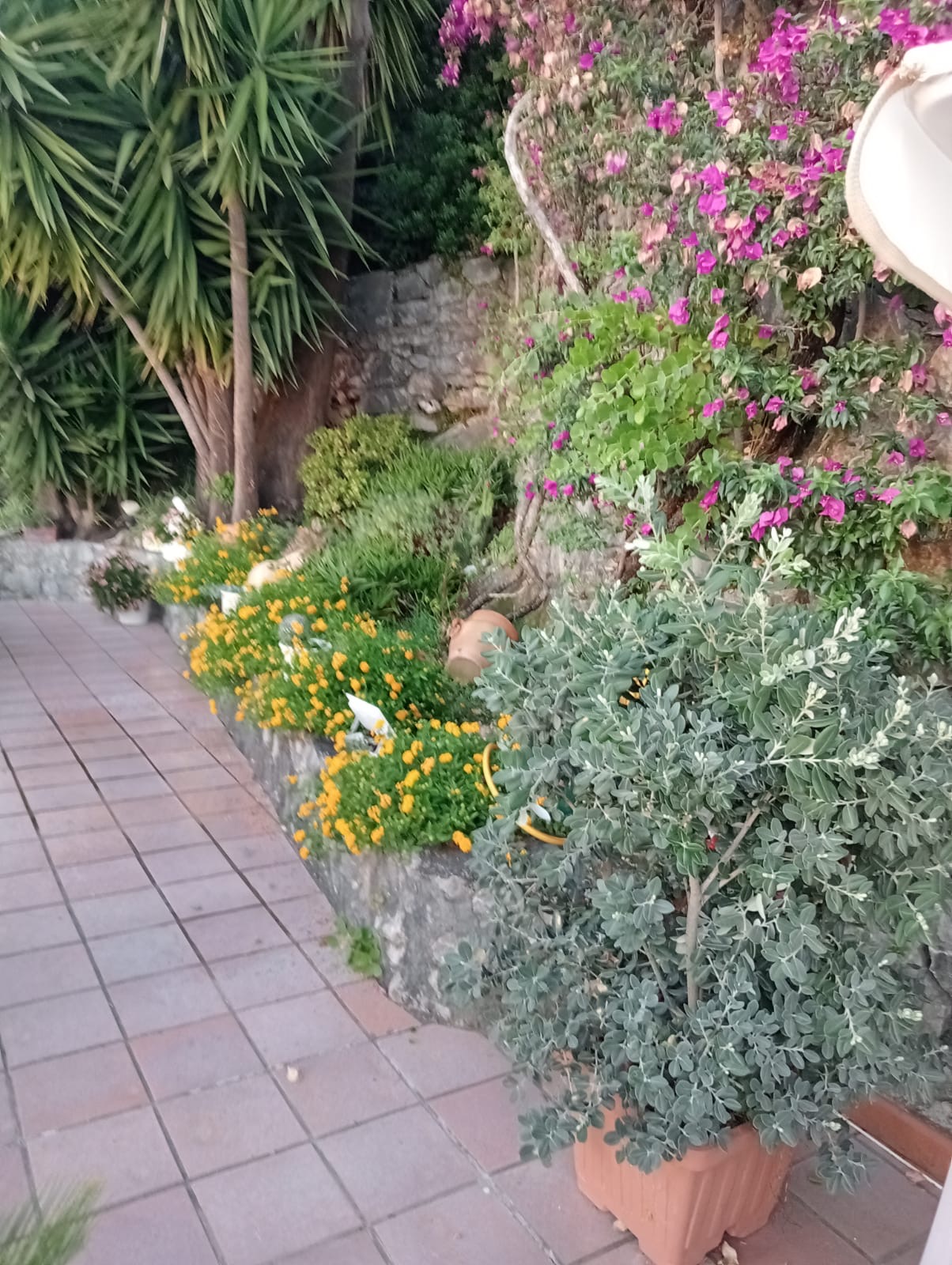 Luxurious Villa San Nicola Arcella - 360° Views, 5 Terraces, Arco Magno and Dinosaur Island.