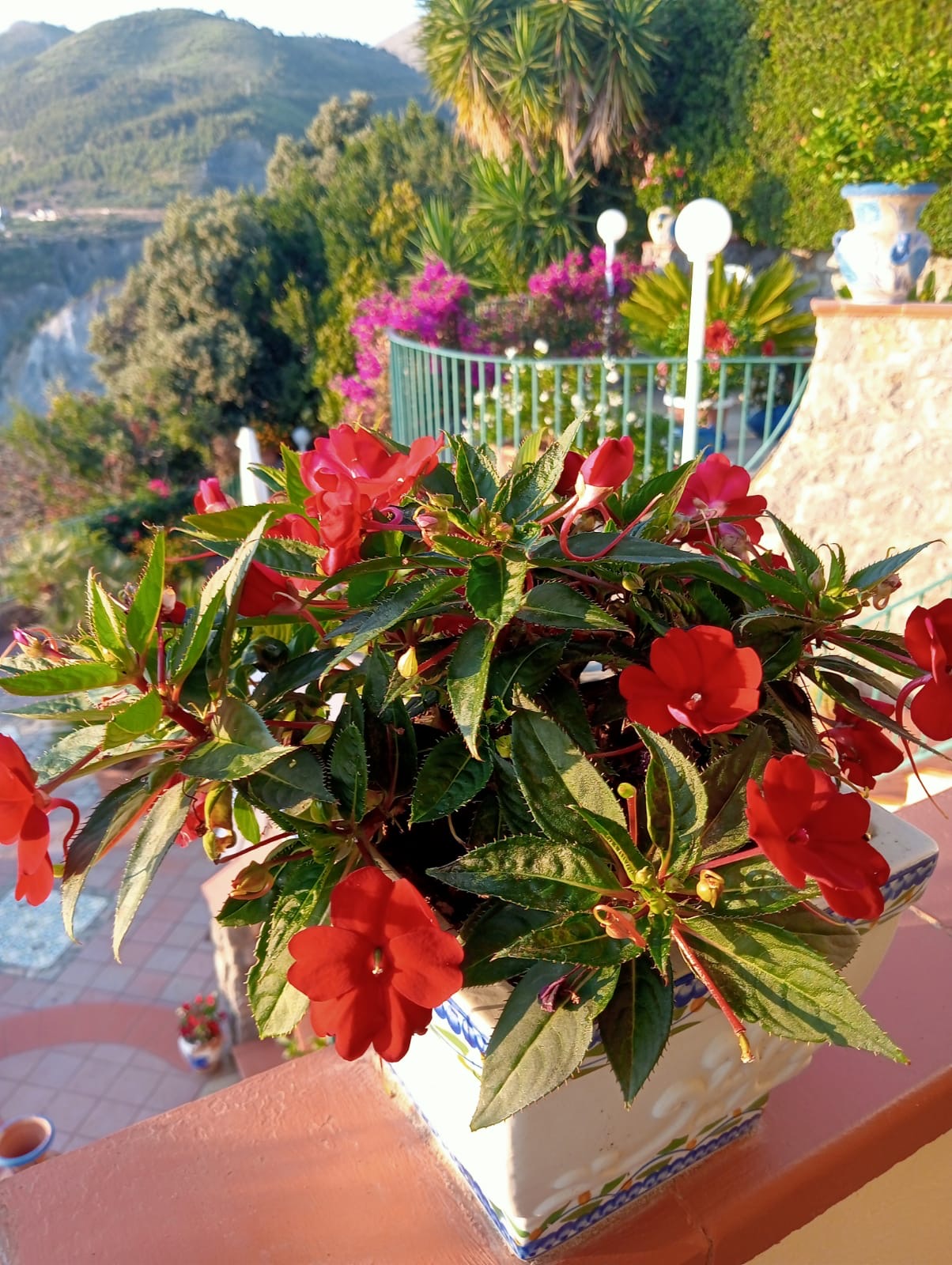 Luxurious Villa San Nicola Arcella - 360° Views, 5 Terraces, Arco Magno and Dinosaur Island.