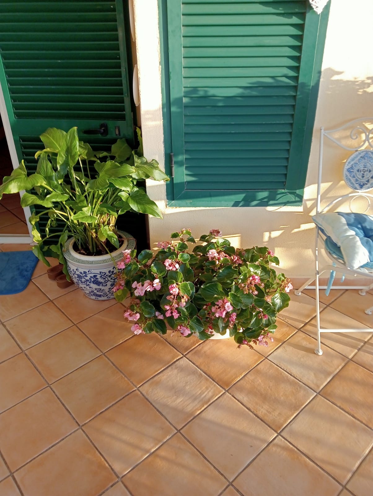 Luxurious Villa San Nicola Arcella - 360° Views, 5 Terraces, Arco Magno and Dinosaur Island.