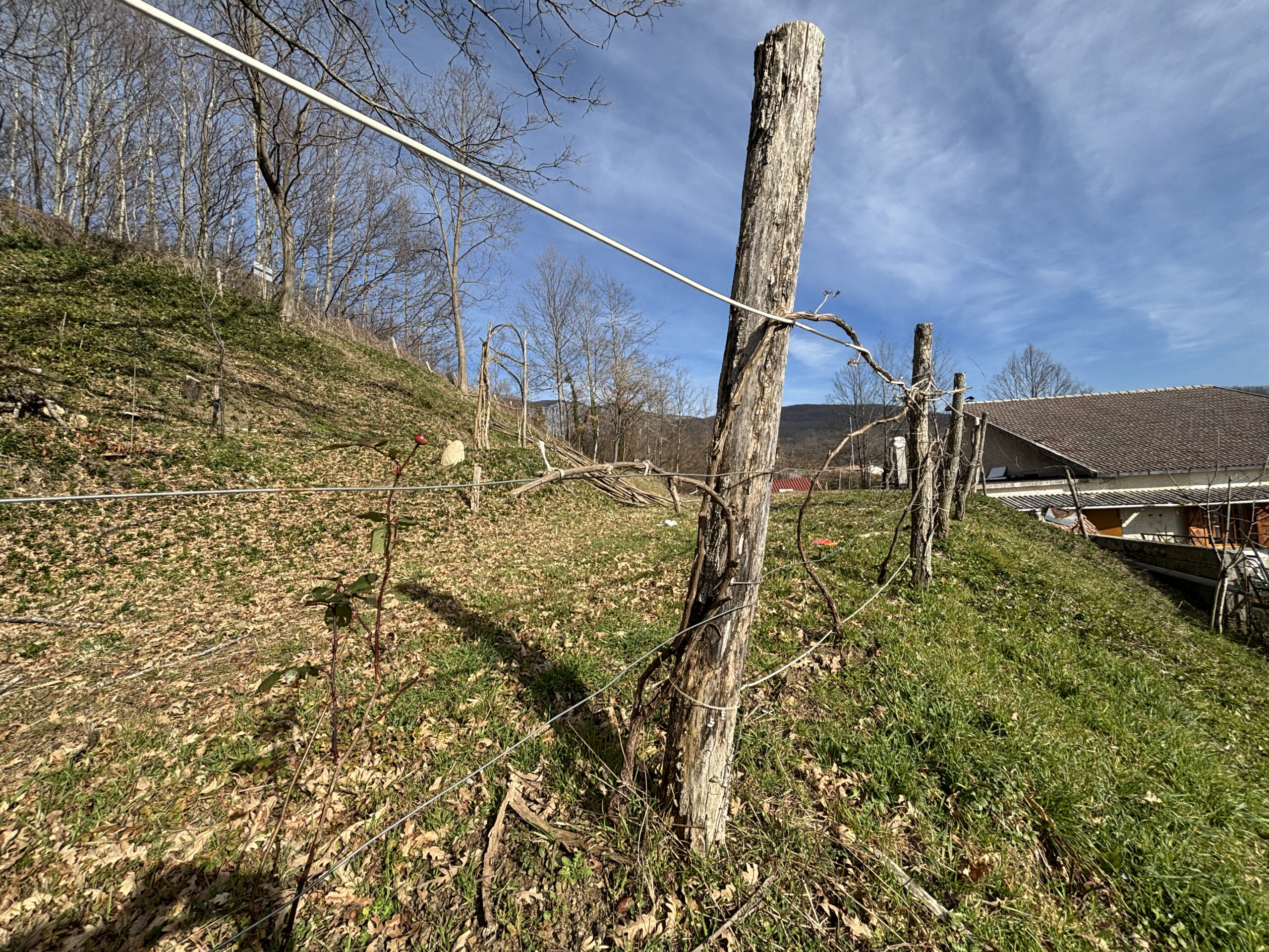 Freehold villa in Lauria-Cogliandrino.