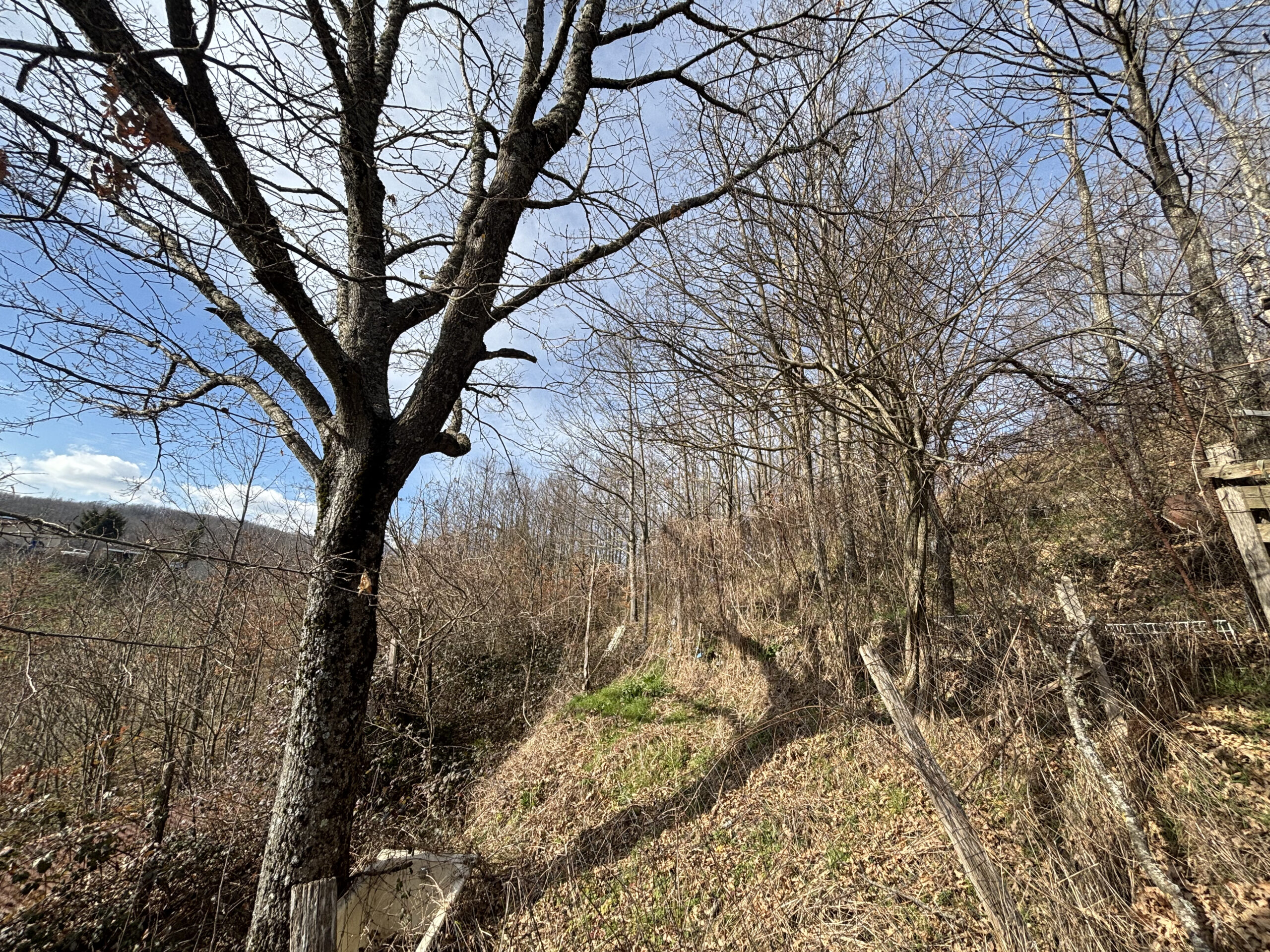 Freehold villa in Lauria-Cogliandrino.