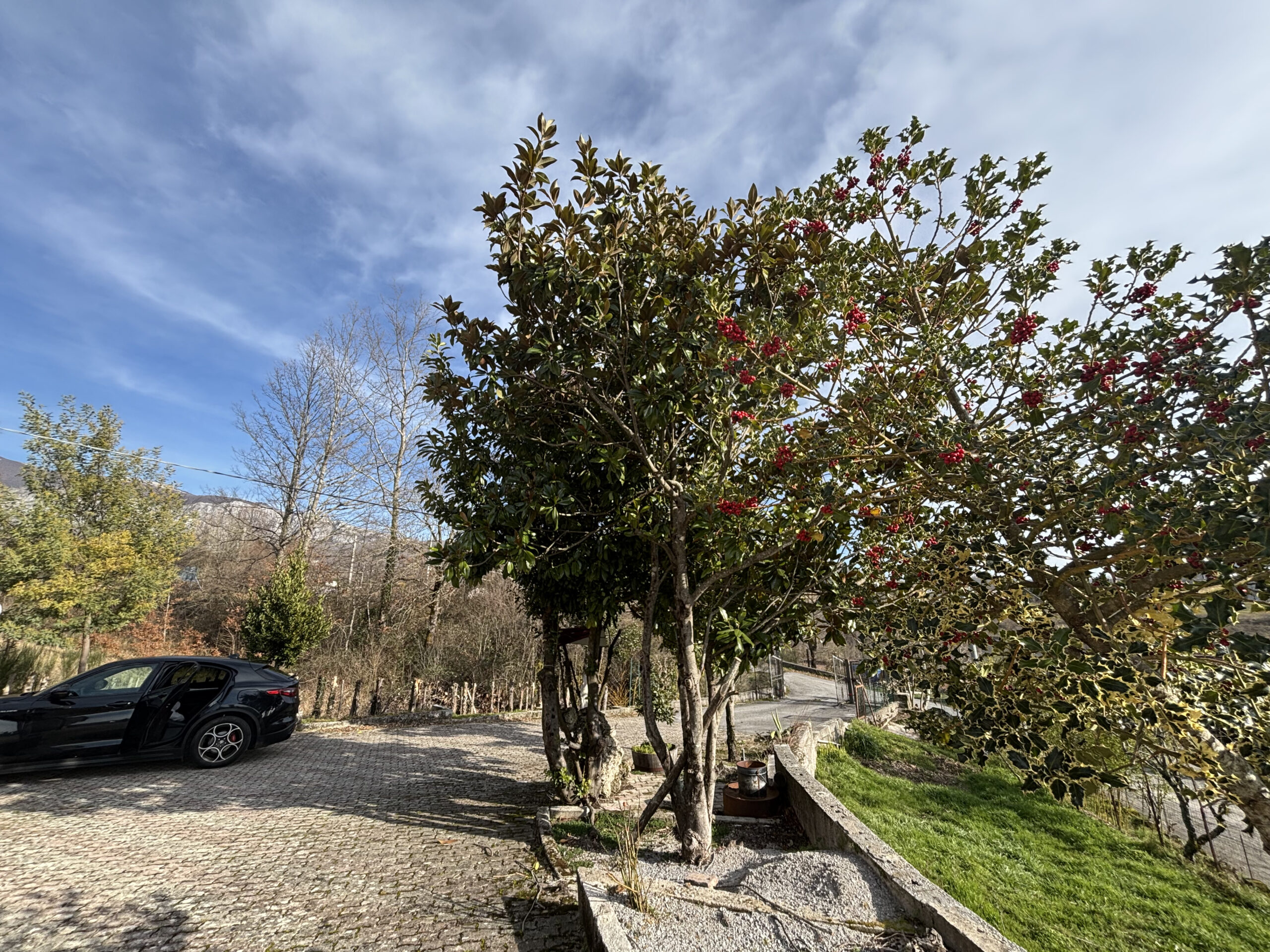 Freehold villa in Lauria-Cogliandrino.