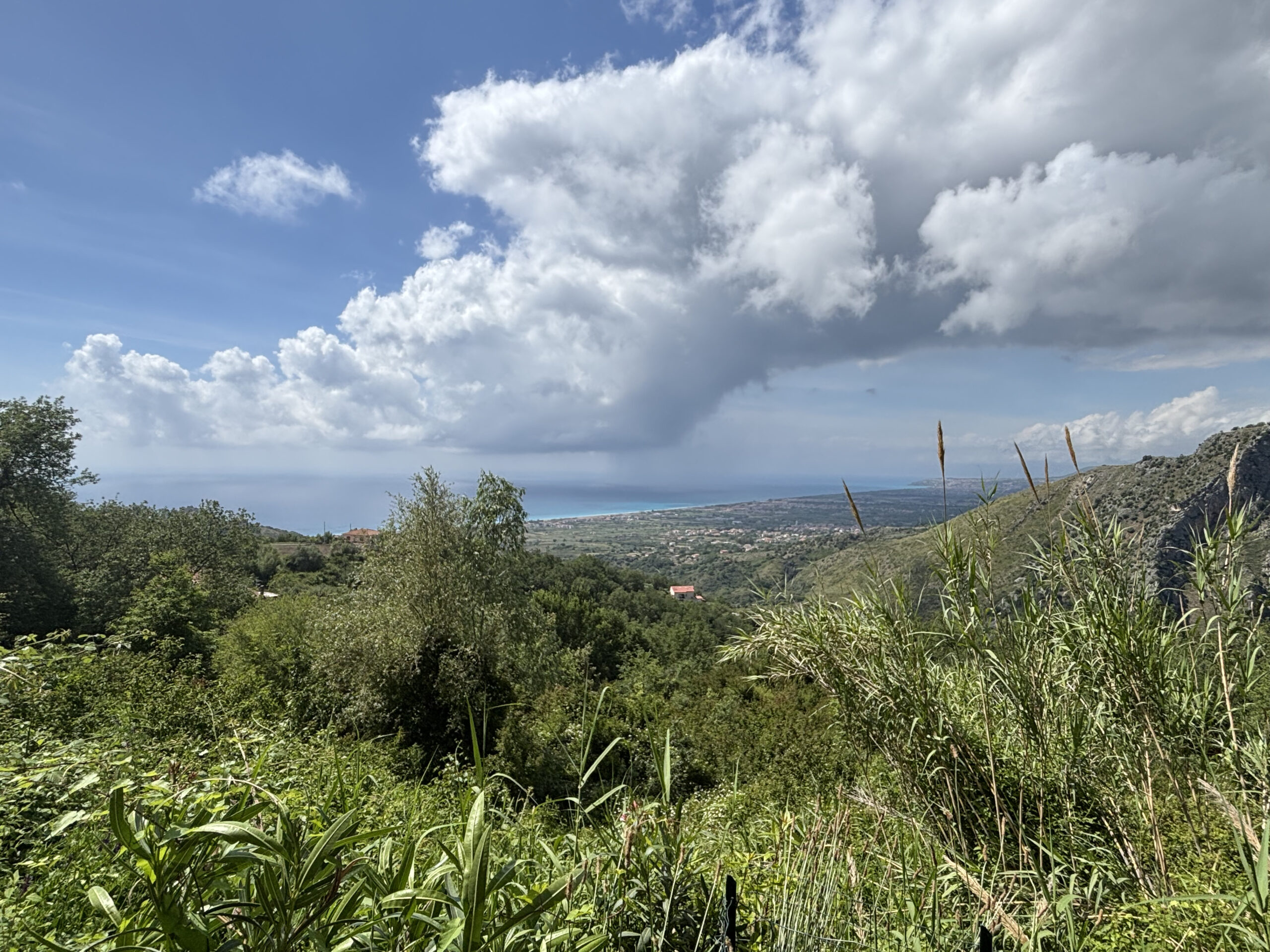 Apartment Maierà 7km from the Sea - Two Independent Apartments, View of the Cedar Riviera, Two Kitchens.