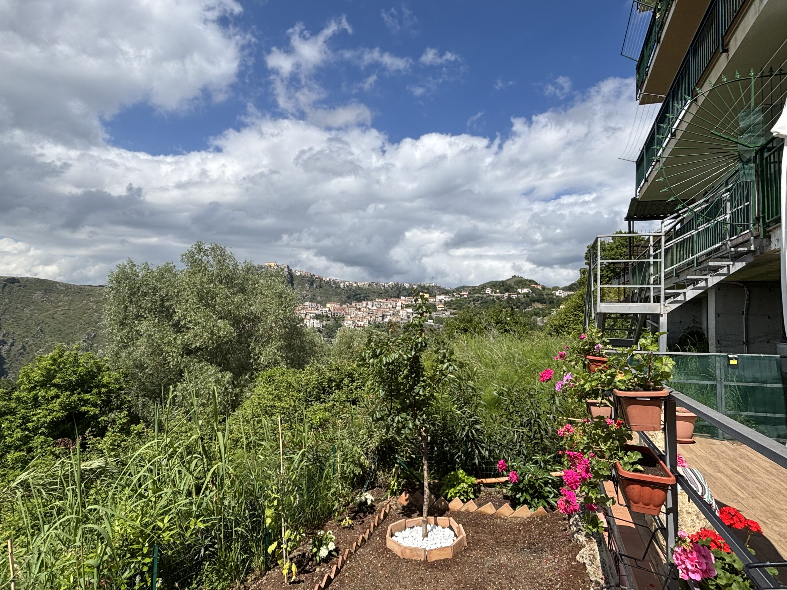 Apartment Maierà 7km from the Sea - Two Independent Apartments, View of the Cedar Riviera, Two Kitchens.