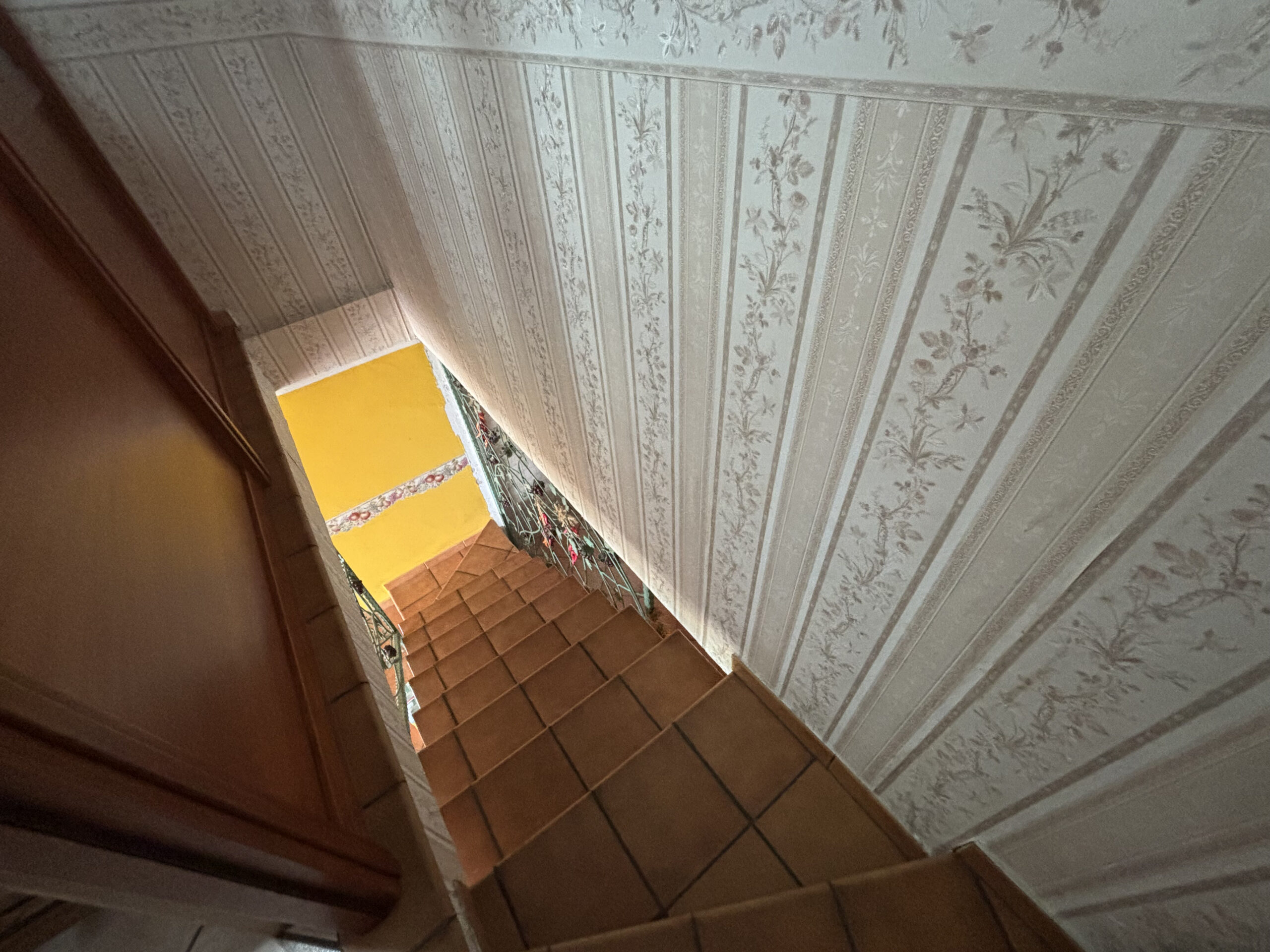 Apartment Maierà 7km from the Sea - Two Independent Apartments, View of the Cedar Riviera, Two Kitchens.