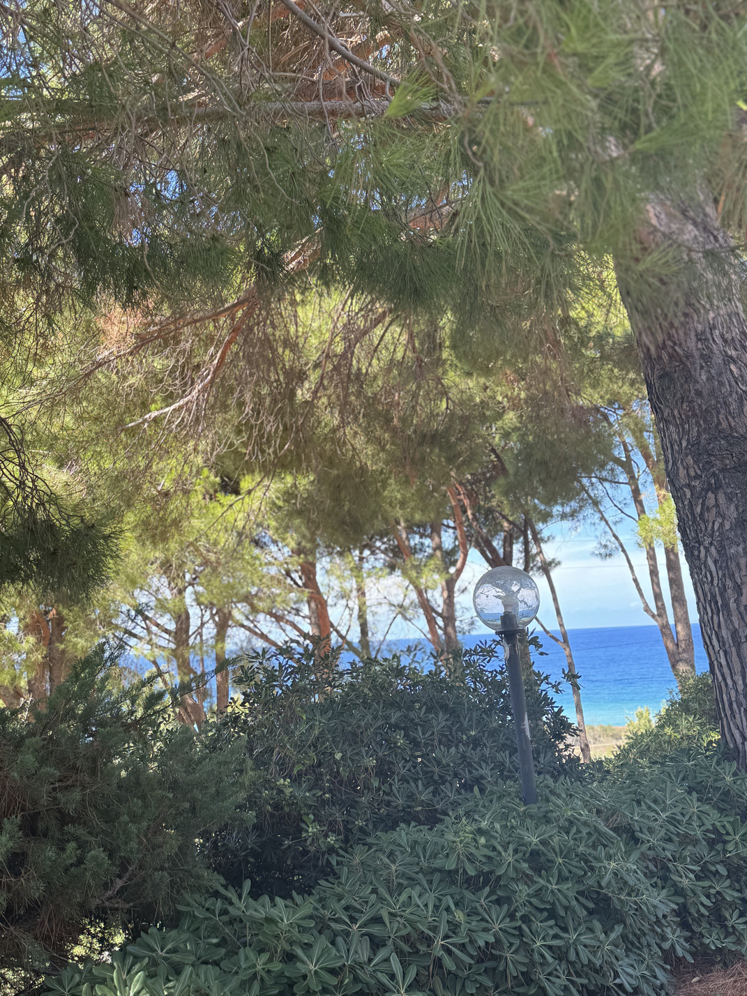 Home in San Lucido - sea view, surrounded by greenery, close to big cities.