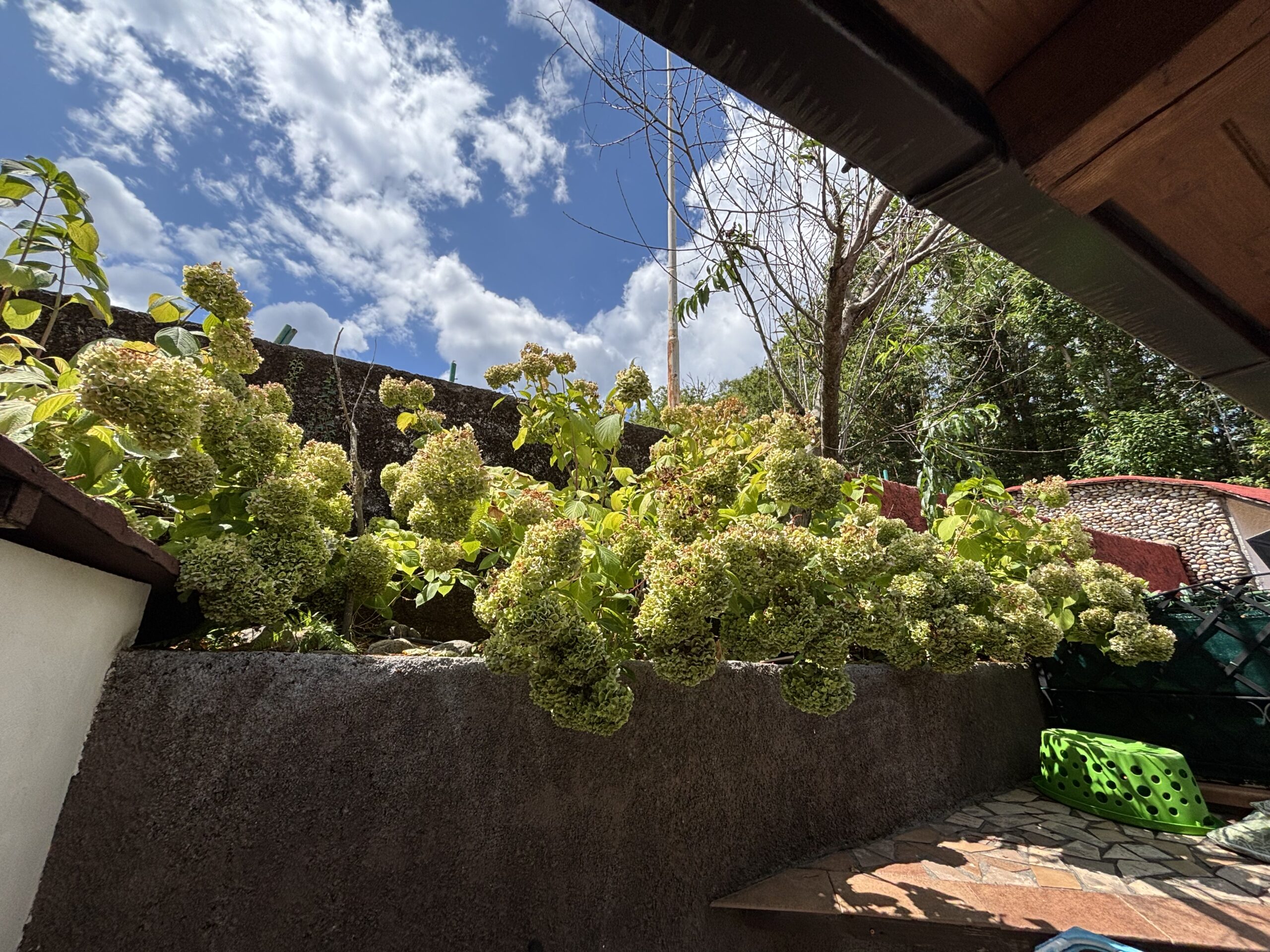 Trecchina Basilicata House - Ready to Move In, Brick Kitchen and Terraces with Mountain Views.