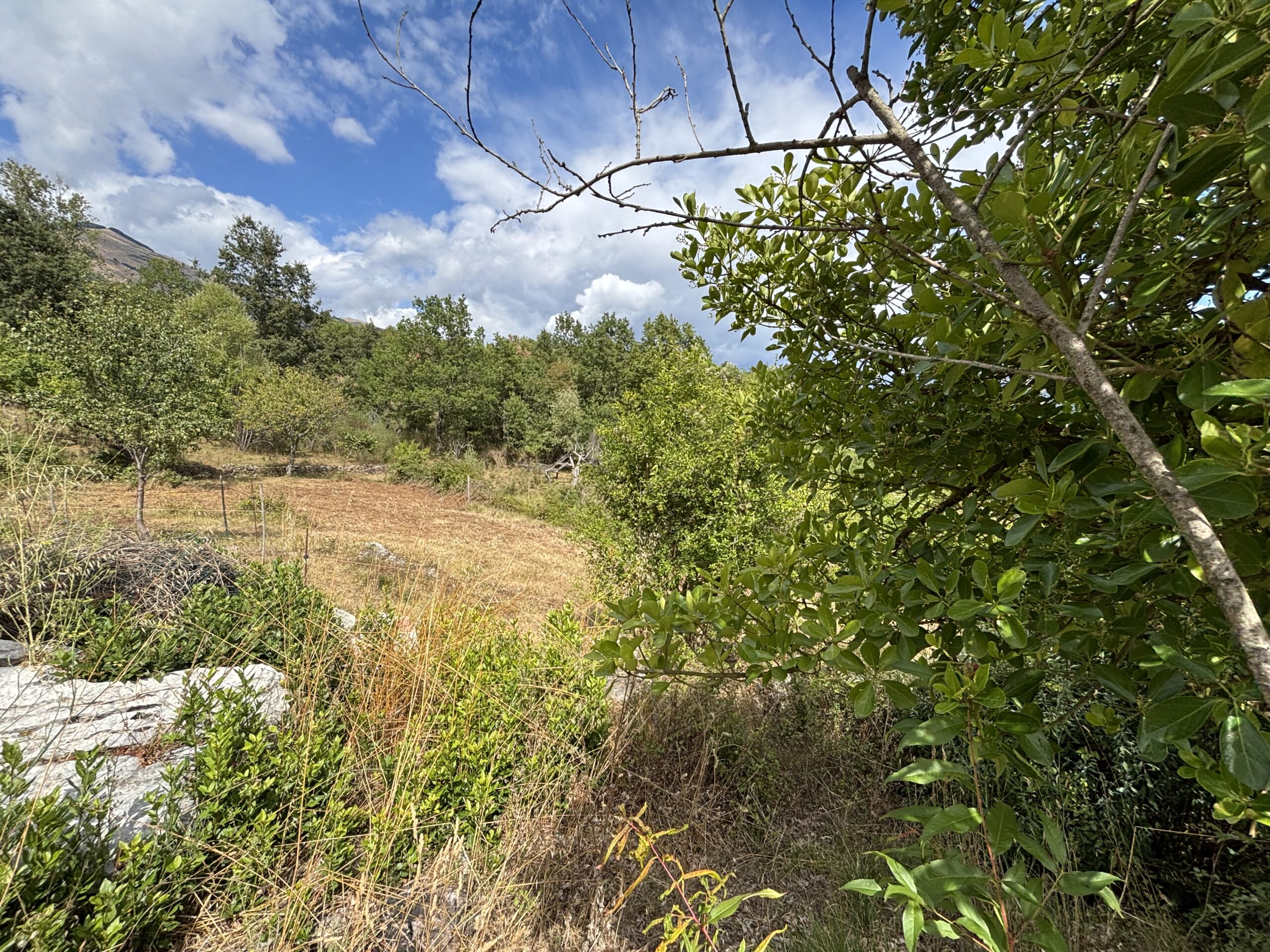 Nemoli Appennino Lucano House - Quiet House with Earth, Farm Buildings, Basilicata Fireplaces.