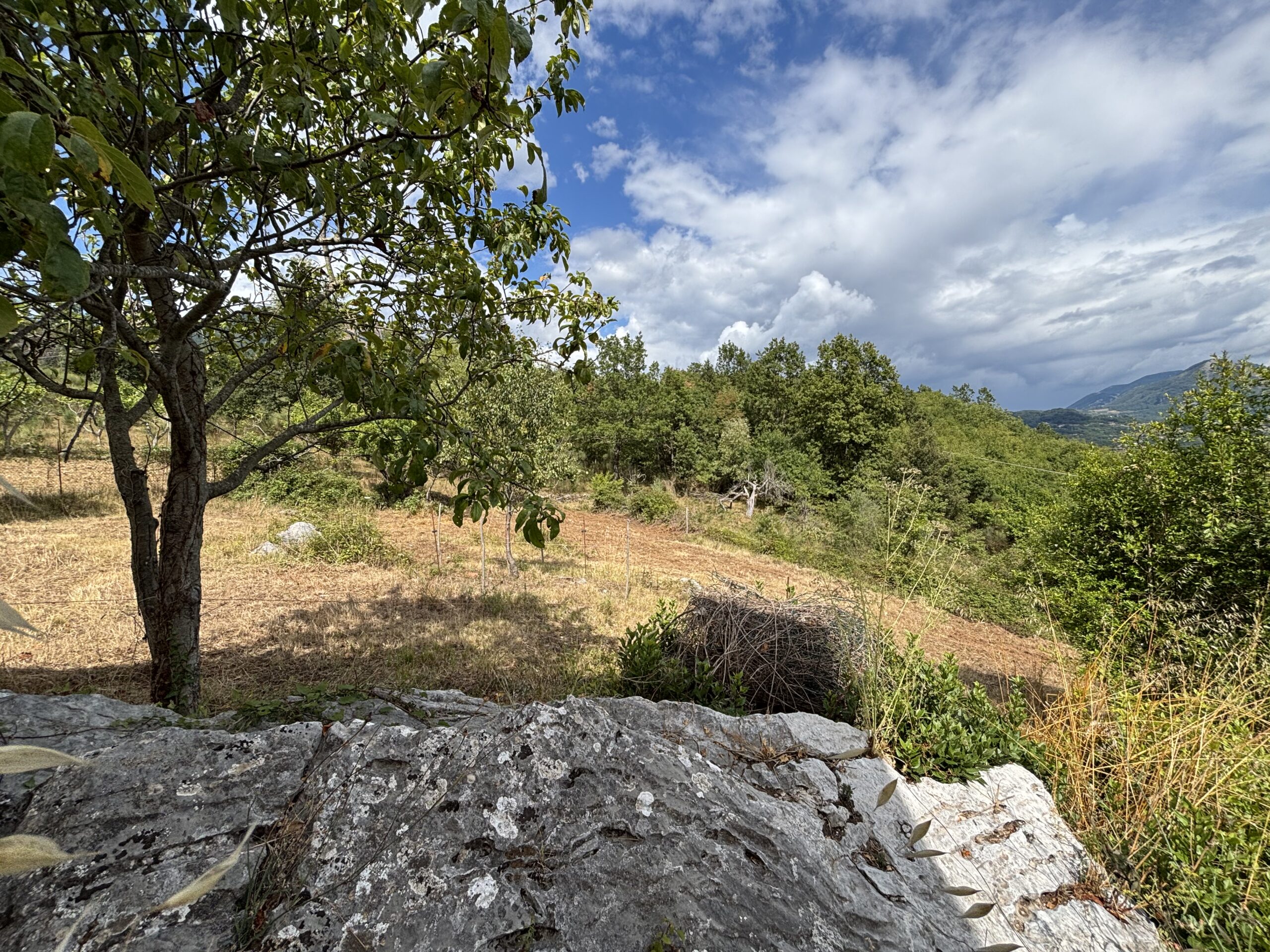 Nemoli Appennino Lucano House - Quiet House with Earth, Farm Buildings, Basilicata Fireplaces.