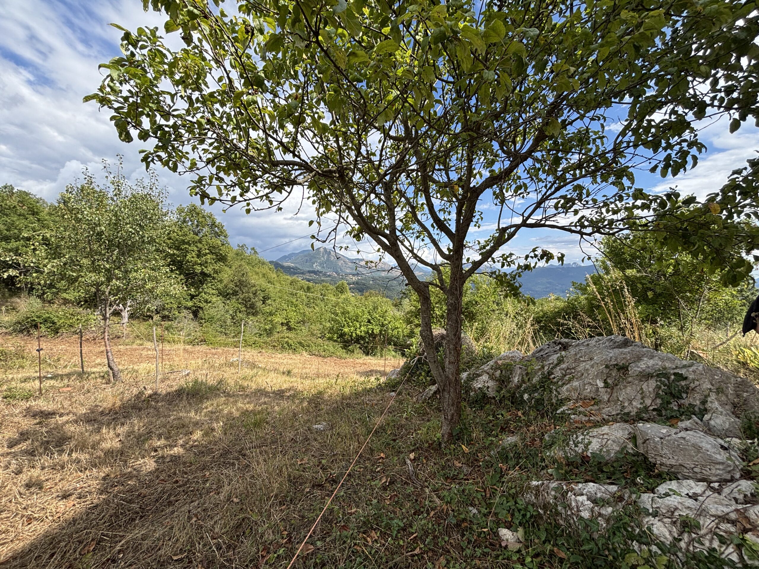 Nemoli Appennino Lucano House - Quiet House with Earth, Farm Buildings, Basilicata Fireplaces.