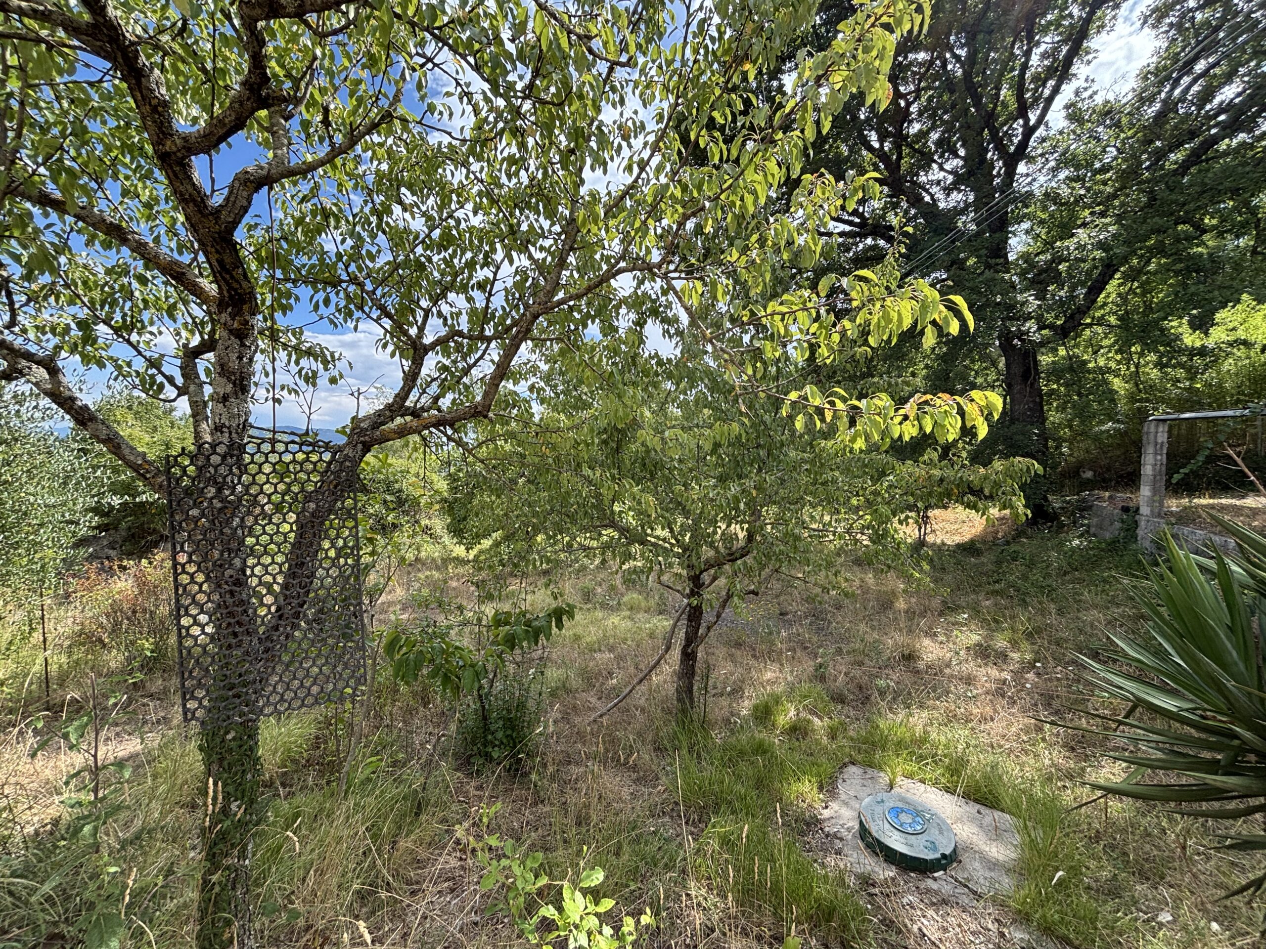 Nemoli Appennino Lucano House - Quiet House with Earth, Farm Buildings, Basilicata Fireplaces.