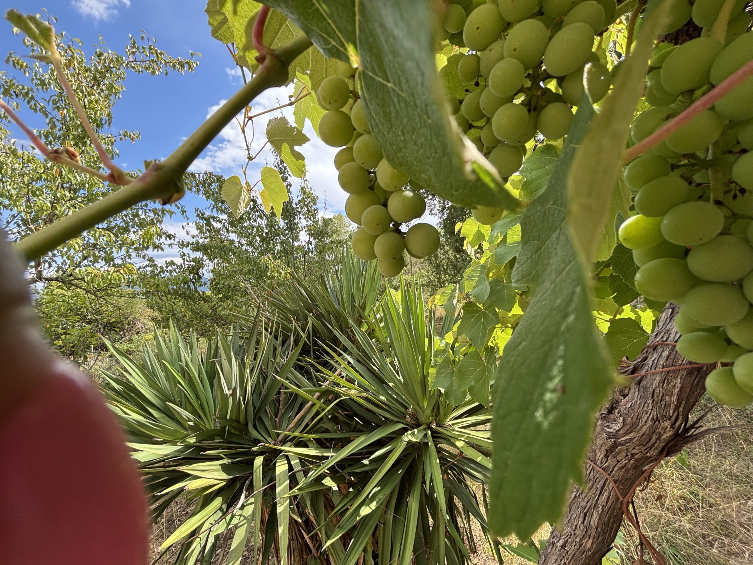 Nemoli Appennino Lucano House - Quiet House with Earth, Farm Buildings, Basilicata Fireplaces.