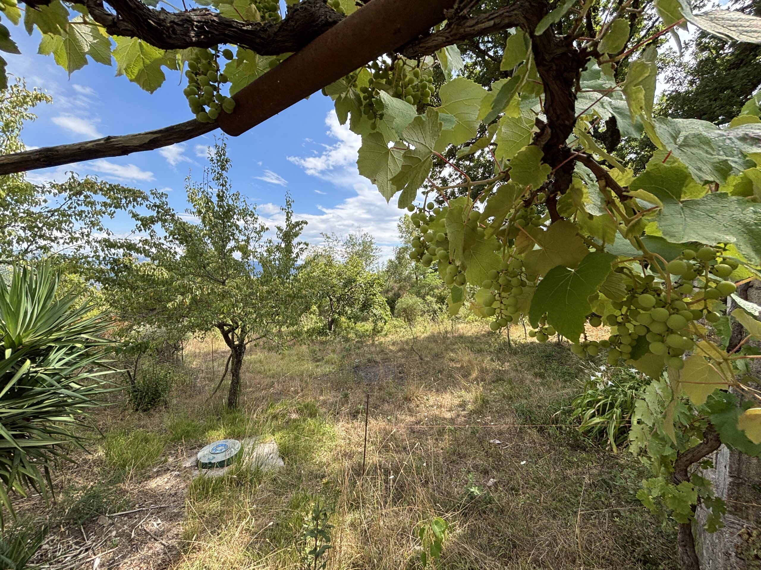 Nemoli Appennino Lucano House - Quiet House with Earth, Farm Buildings, Basilicata Fireplaces.