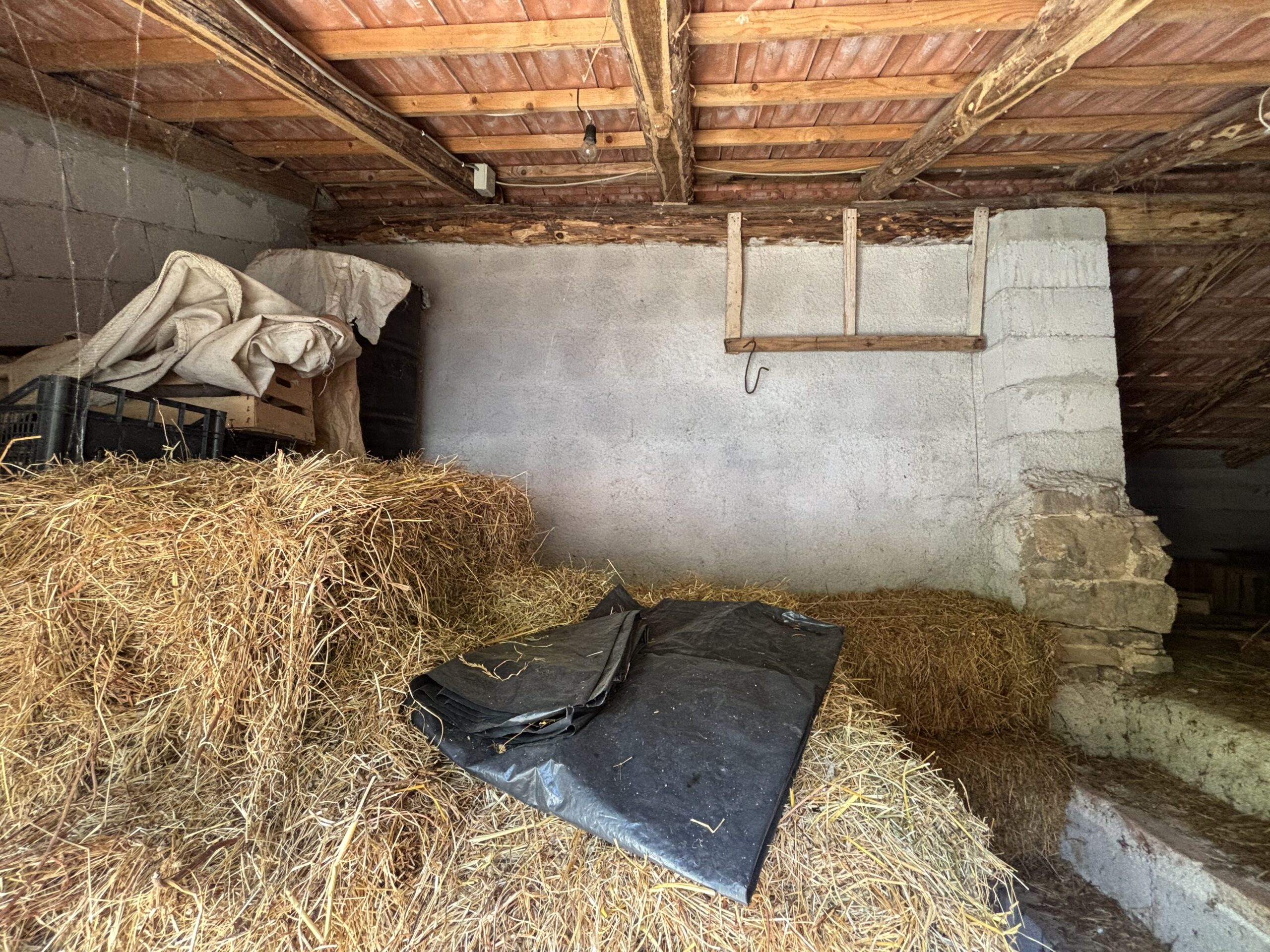 Nemoli Appennino Lucano House - Quiet House with Earth, Farm Buildings, Basilicata Fireplaces.