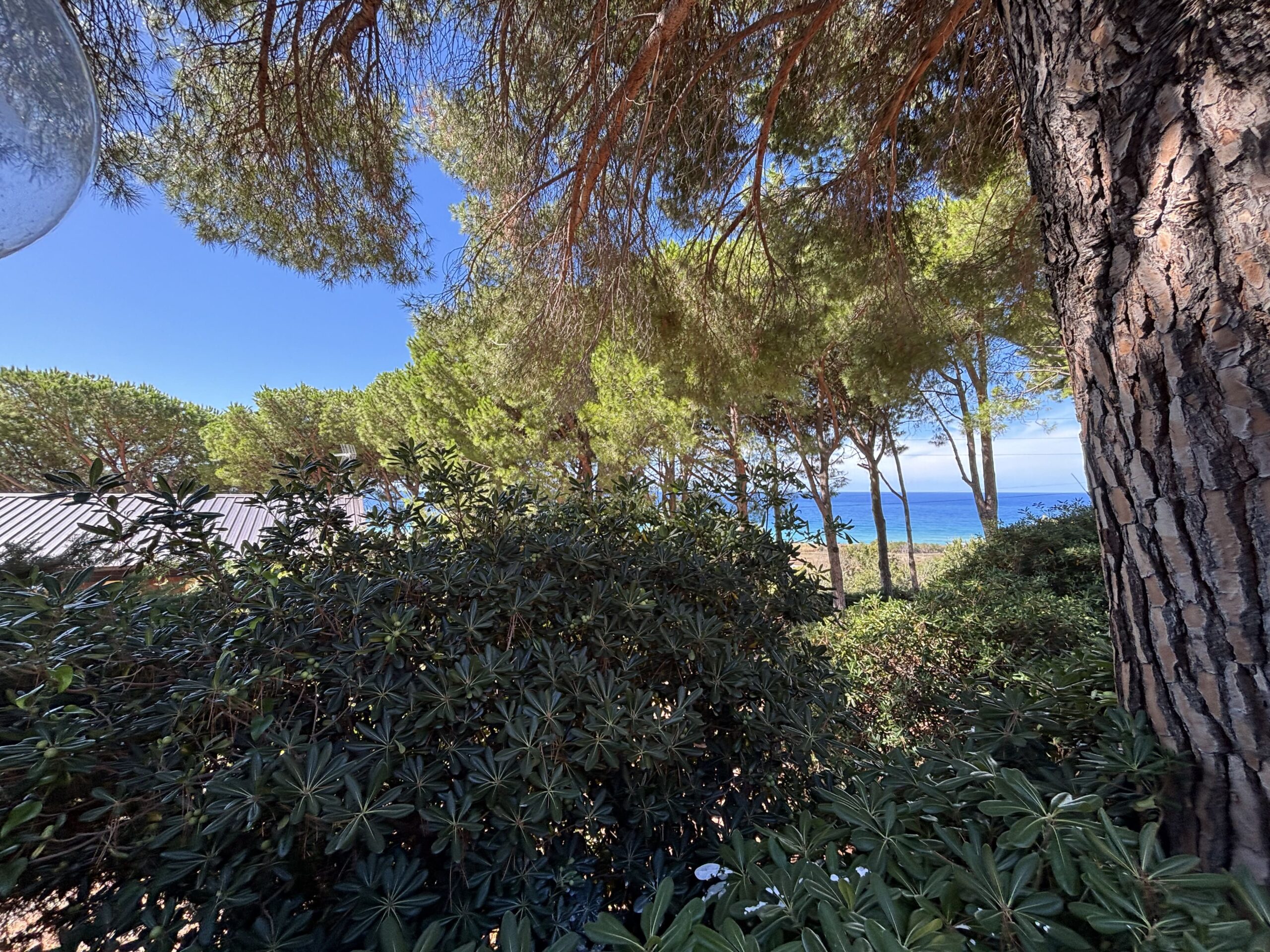 San Lucido - Petralonga.