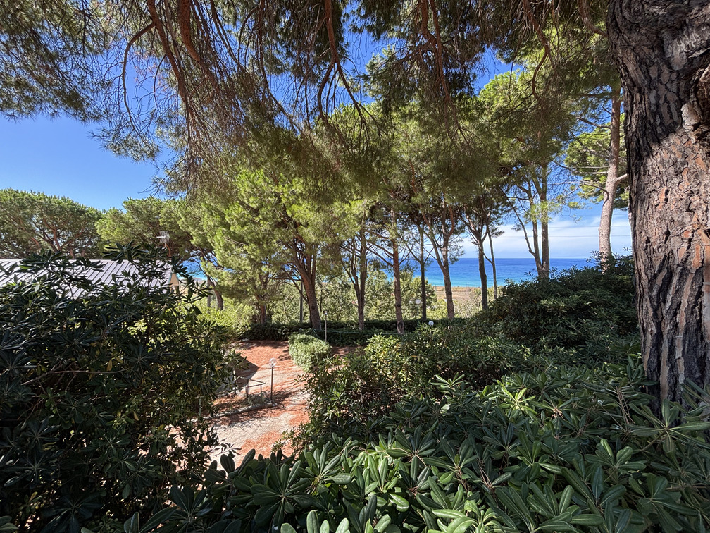 Home in San Lucido - sea view, surrounded by greenery, close to big cities.