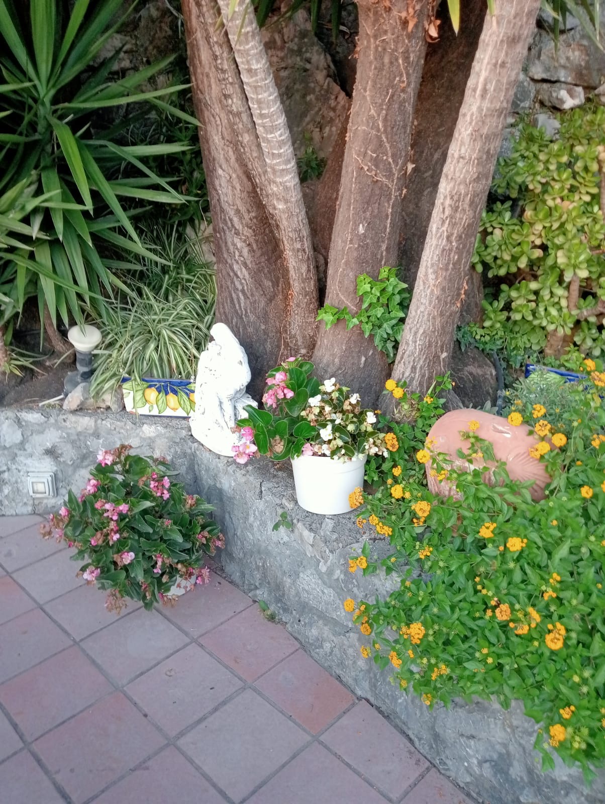 Luxurious Villa San Nicola Arcella - 360° Views, 5 Terraces, Arco Magno and Dinosaur Island.