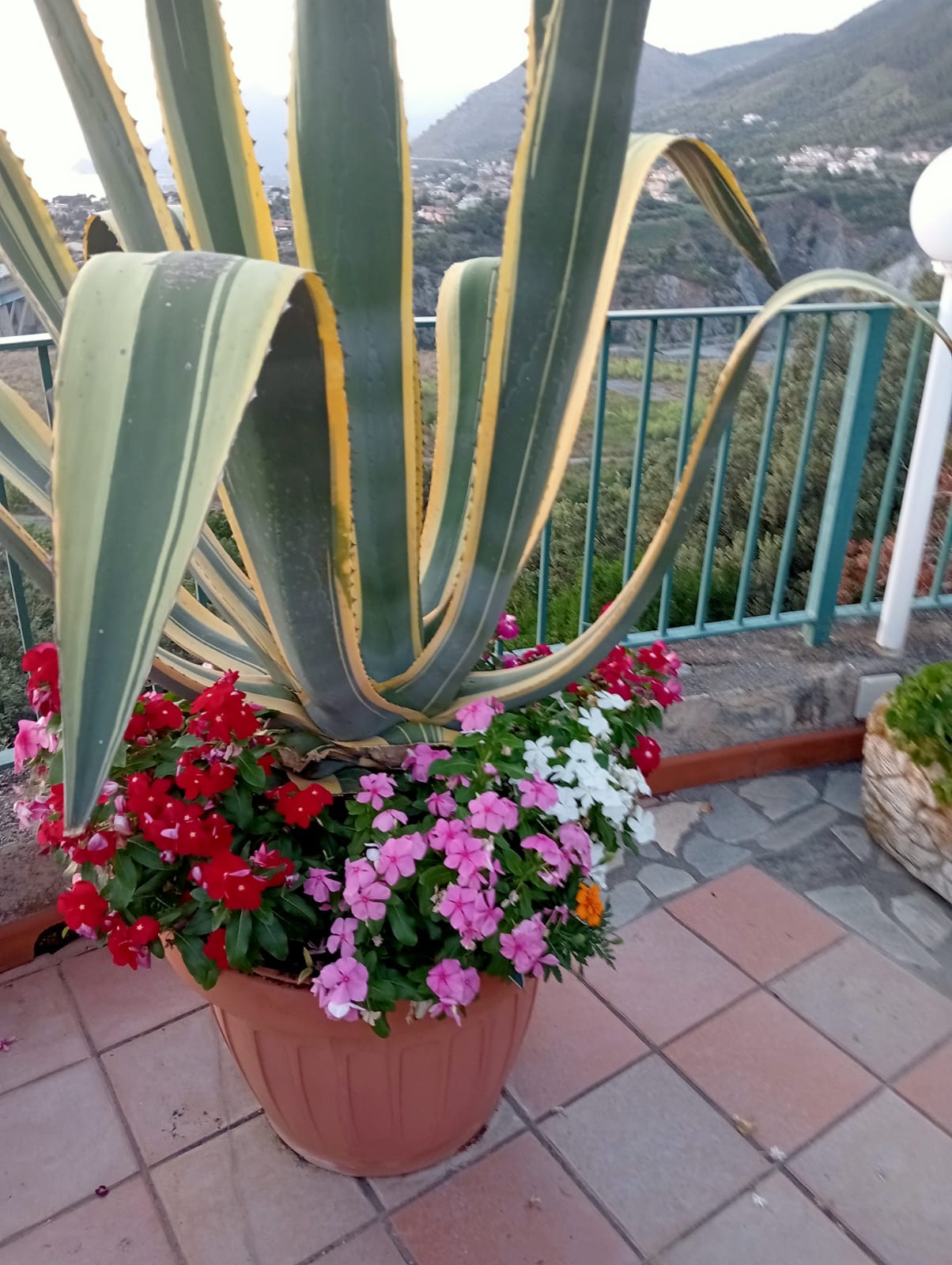 Luxurious Villa San Nicola Arcella - 360° Views, 5 Terraces, Arco Magno and Dinosaur Island.