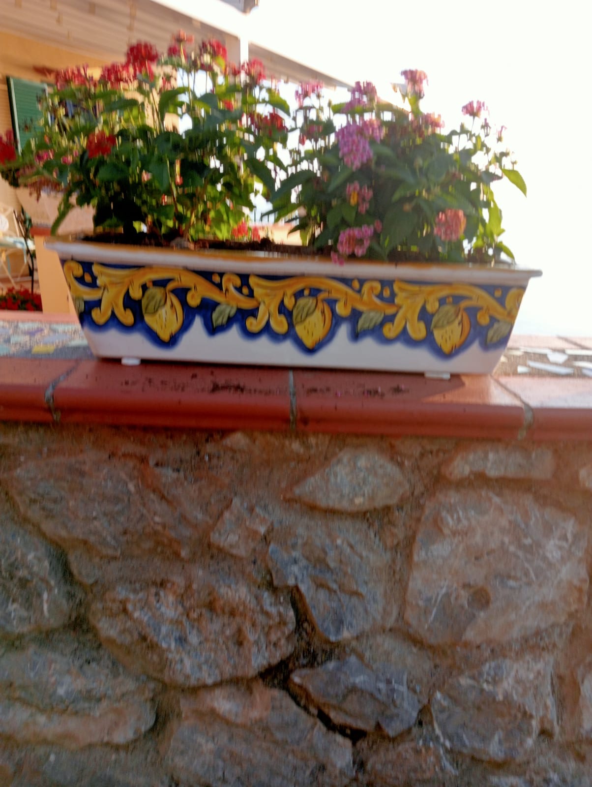 Luxurious Villa San Nicola Arcella - 360° Views, 5 Terraces, Arco Magno and Dinosaur Island.