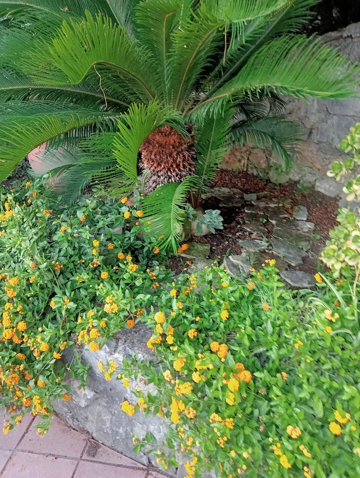 Luxurious Villa San Nicola Arcella - 360° Views, 5 Terraces, Arco Magno and Dinosaur Island.