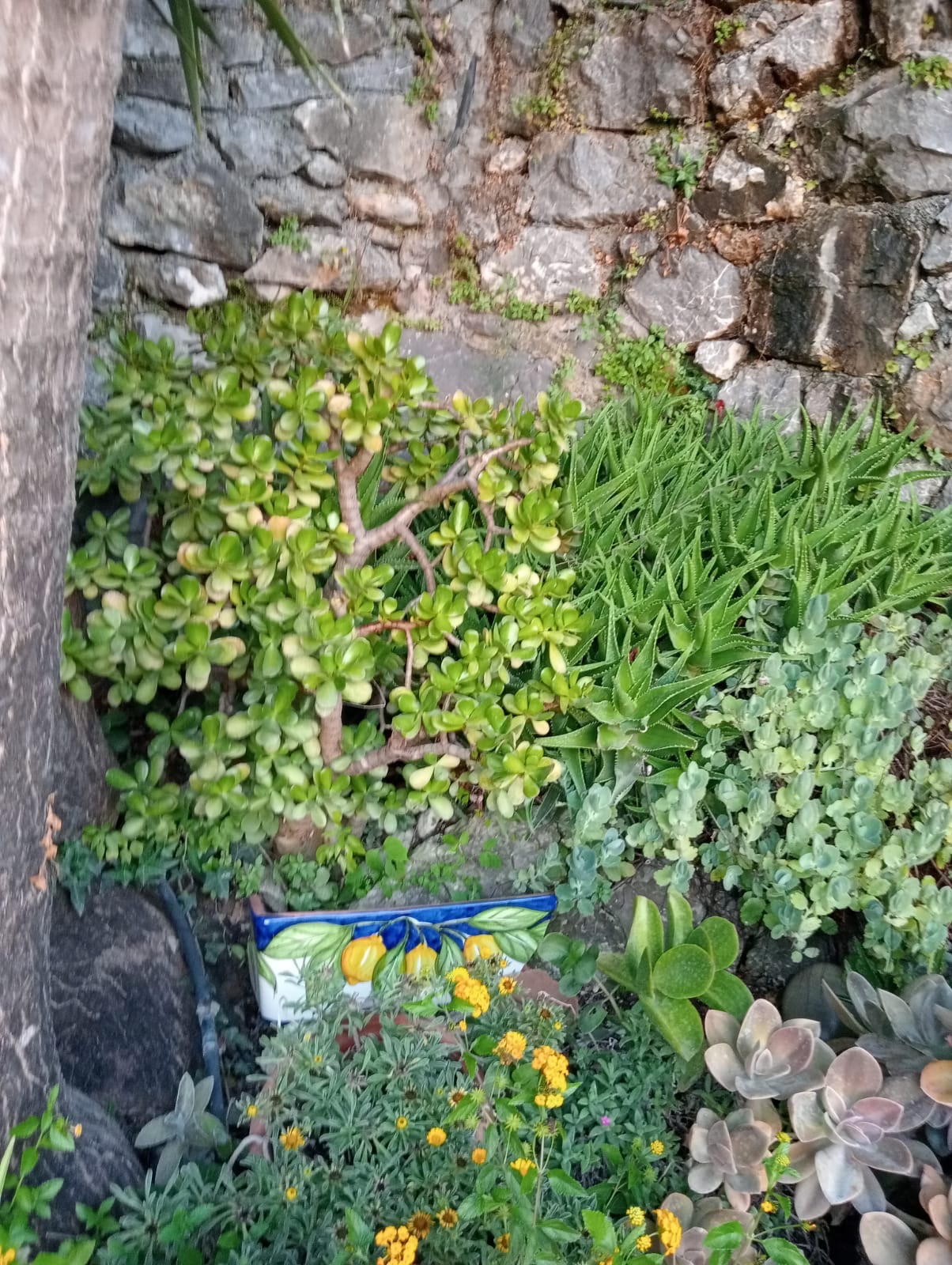 Luxurious Villa San Nicola Arcella - 360° Views, 5 Terraces, Arco Magno and Dinosaur Island.