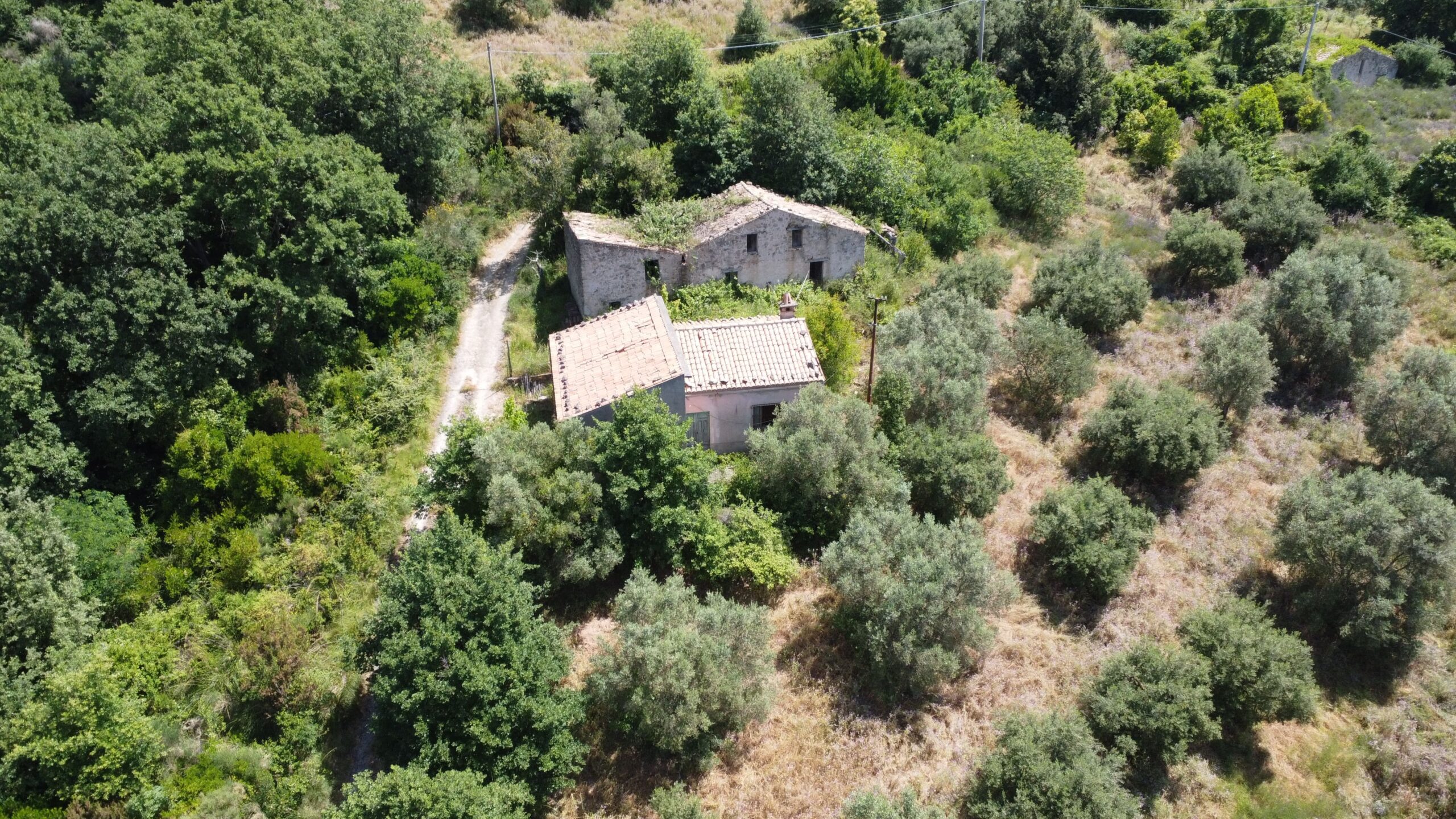 House to be renovated in Sangineto - plot of 18000m² with olive trees, B&B potential.