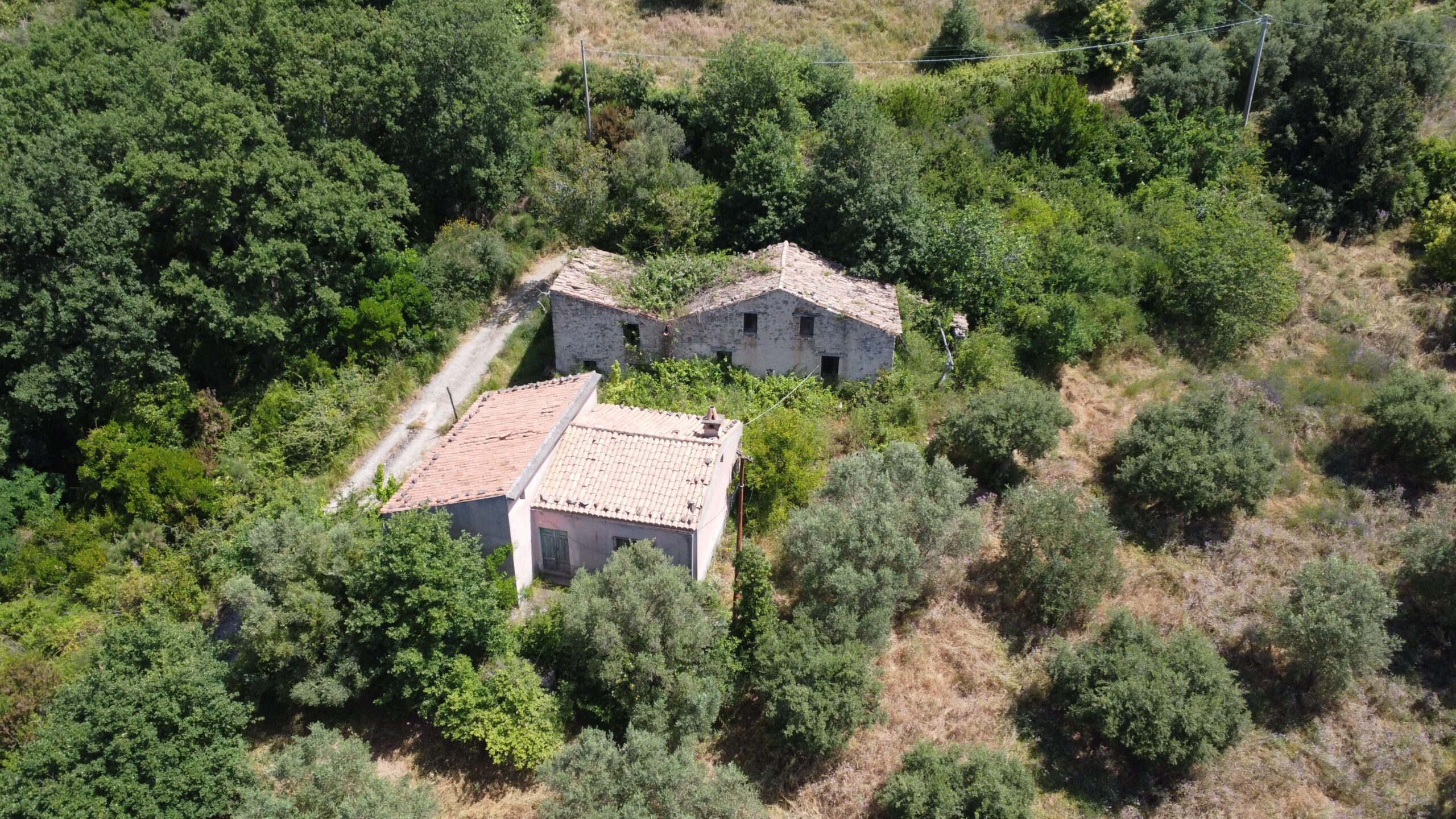 House to be renovated in Sangineto - plot of 18000m² with olive trees, B&B potential.
