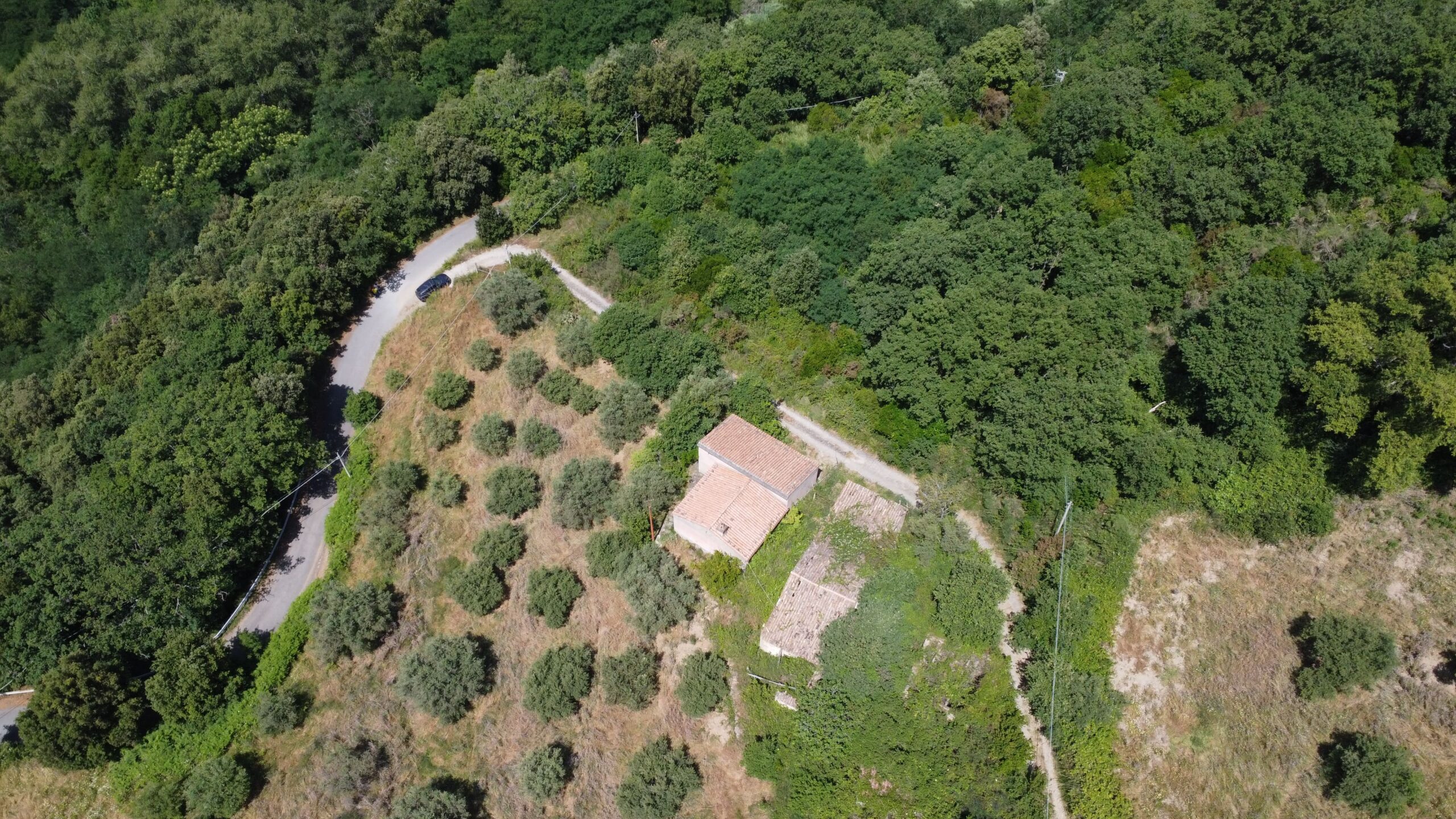 House to be renovated in Sangineto - plot of 18000m² with olive trees, B&B potential.