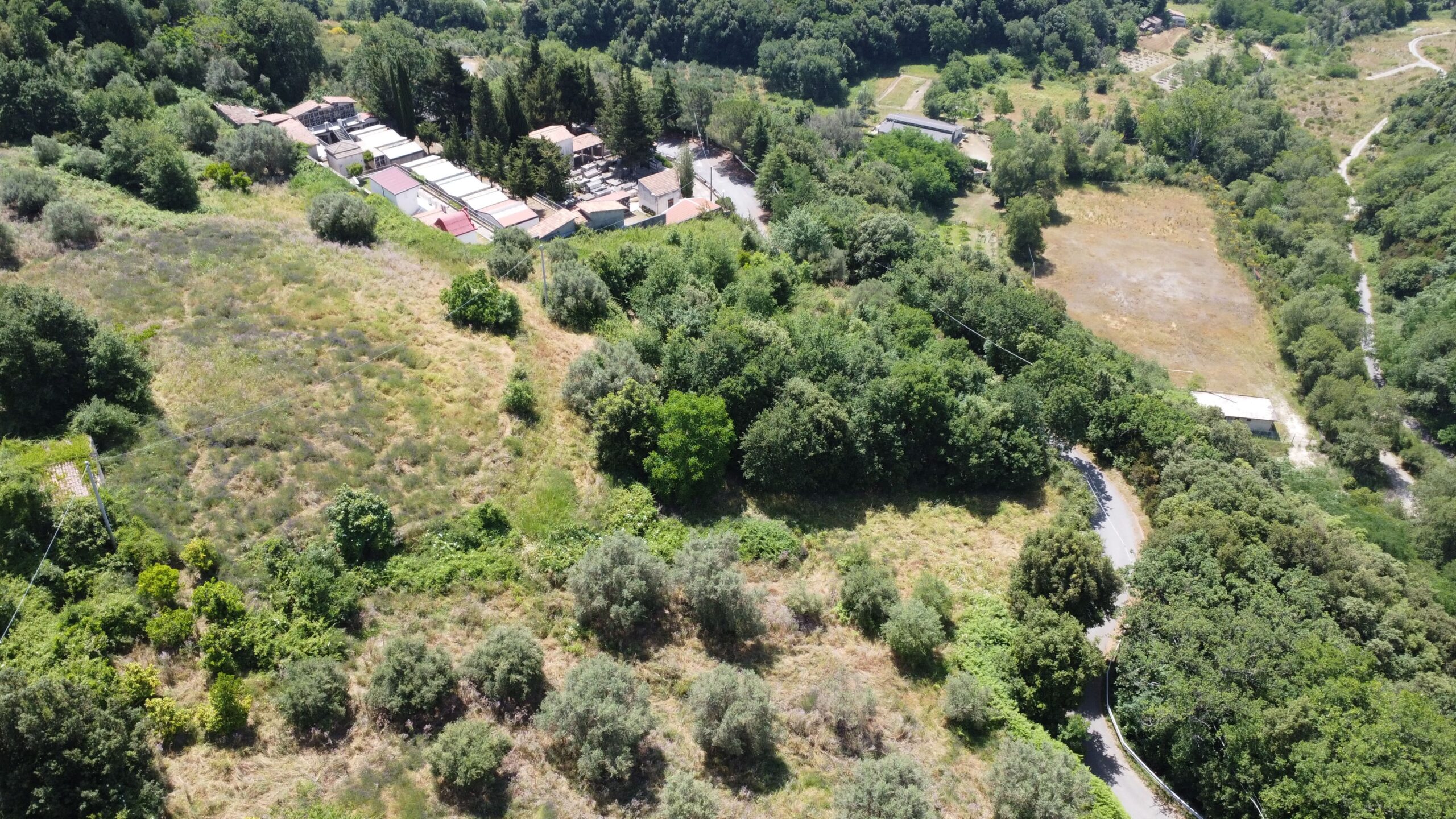 House to be renovated in Sangineto - plot of 18000m² with olive trees, B&B potential.