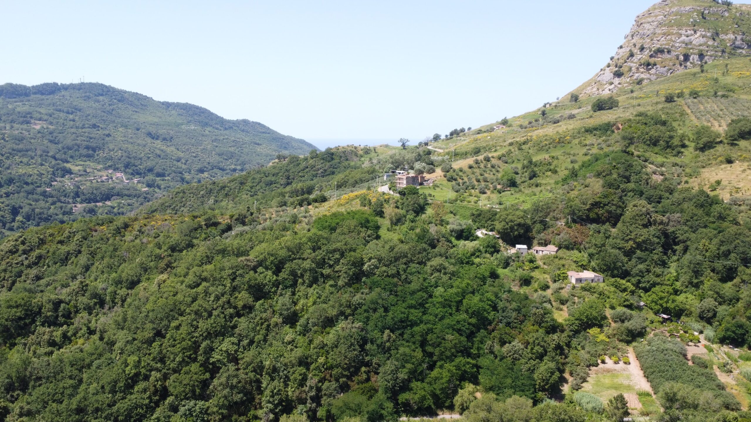 House to be renovated in Sangineto - plot of 18000m² with olive trees, B&B potential.