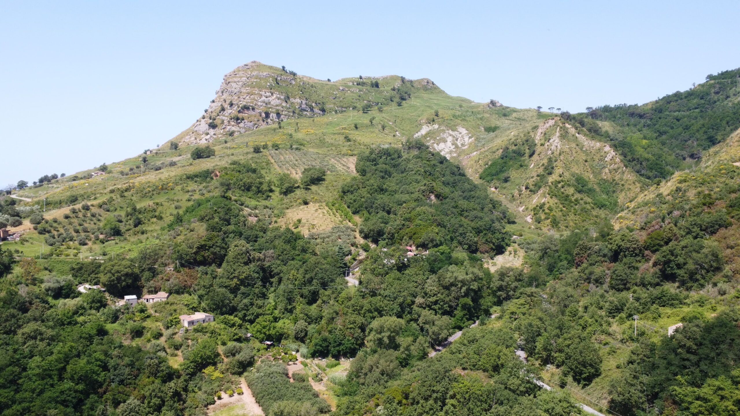 House to be renovated in Sangineto - plot of 18000m² with olive trees, B&B potential.