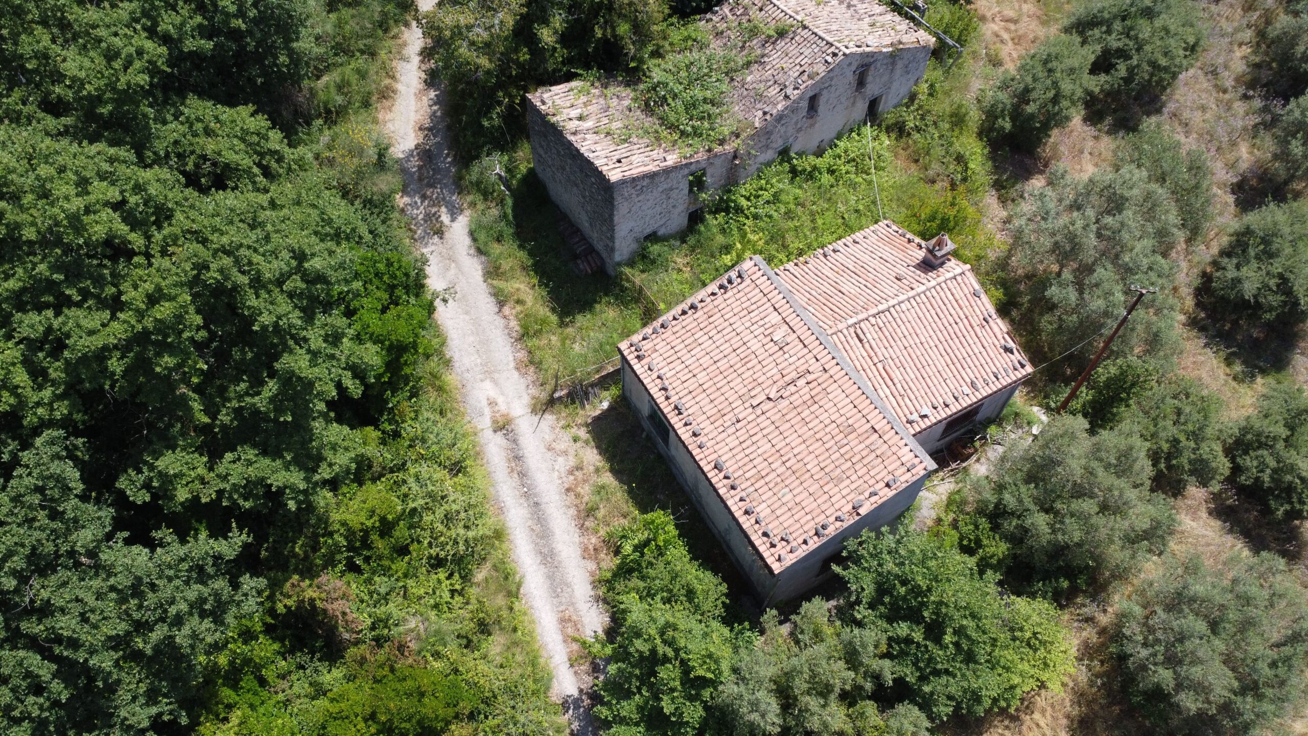 House to be renovated in Sangineto - plot of 18000m² with olive trees, B&B potential.