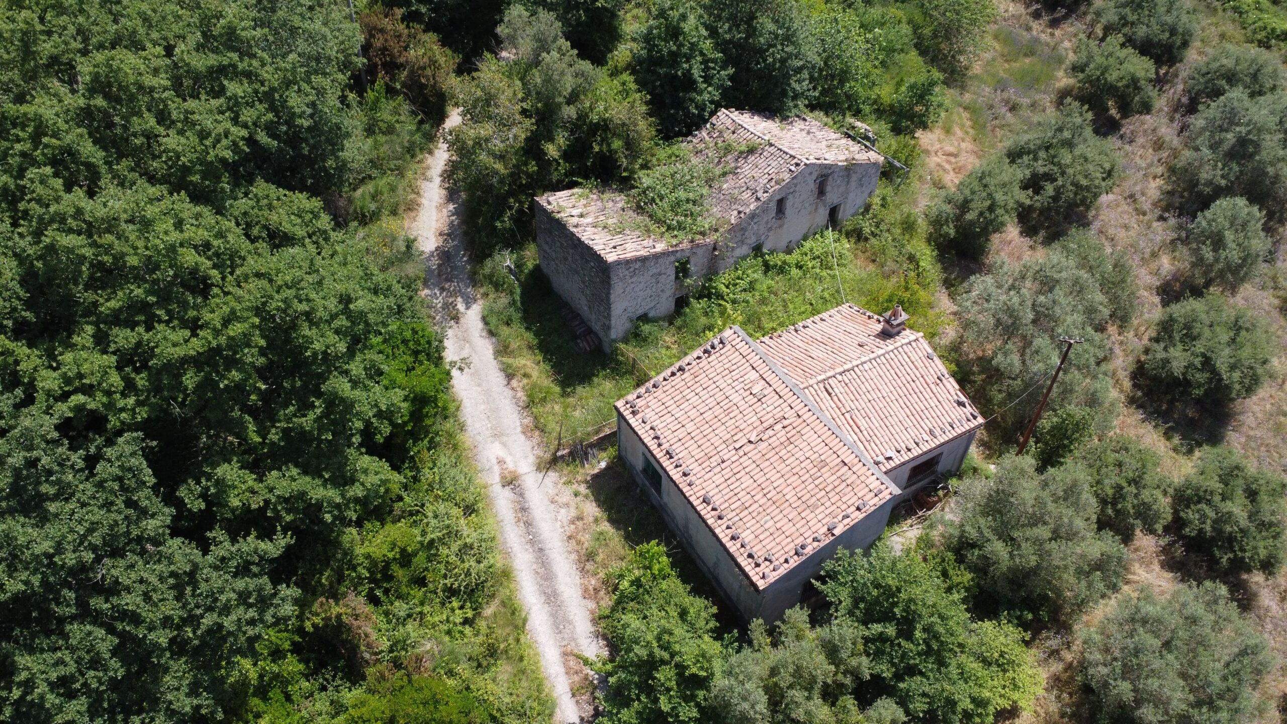 House to be renovated in Sangineto - plot of 18000m² with olive trees, B&B potential.