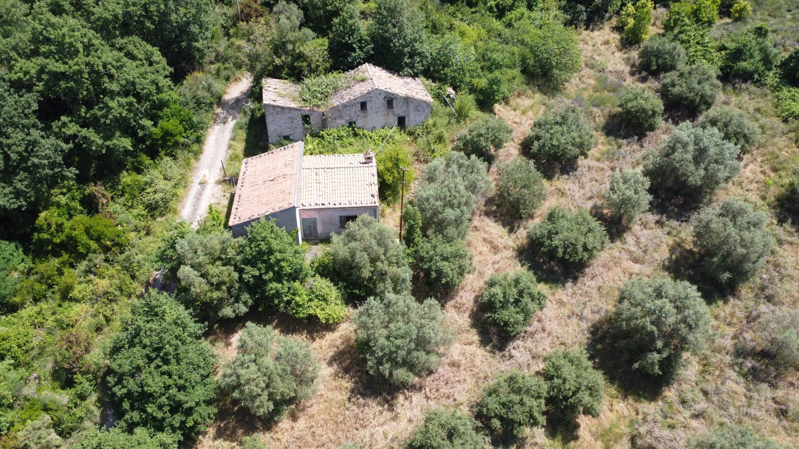 House to be renovated in Sangineto - plot of 18000m² with olive trees, B&B potential.
