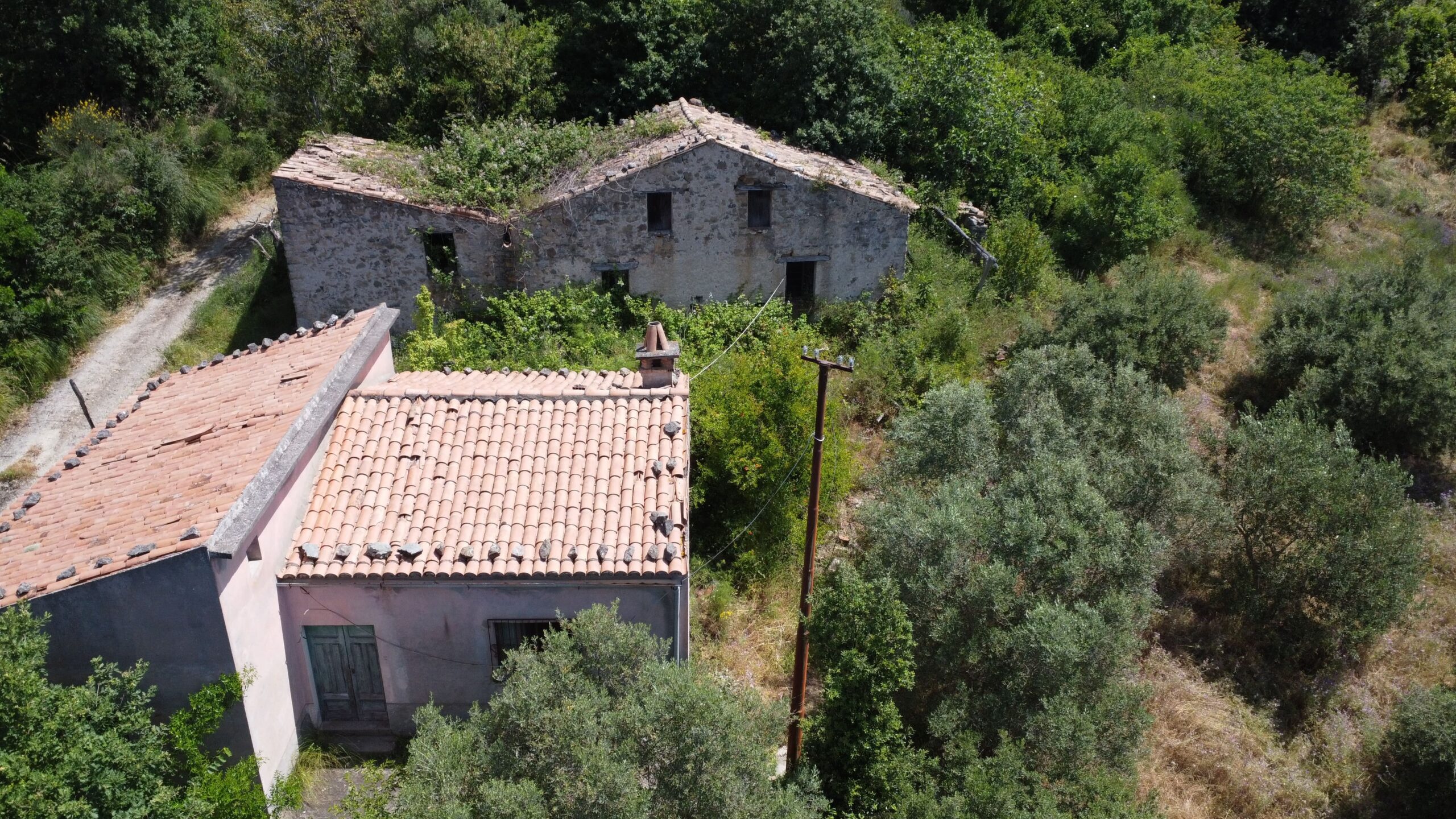 House to be renovated in Sangineto - plot of 18000m² with olive trees, B&B potential.