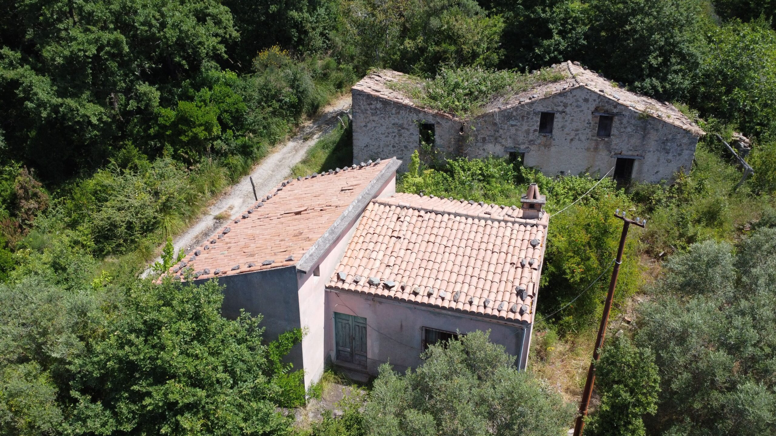 House to be renovated in Sangineto - plot of 18000m² with olive trees, B&B potential.