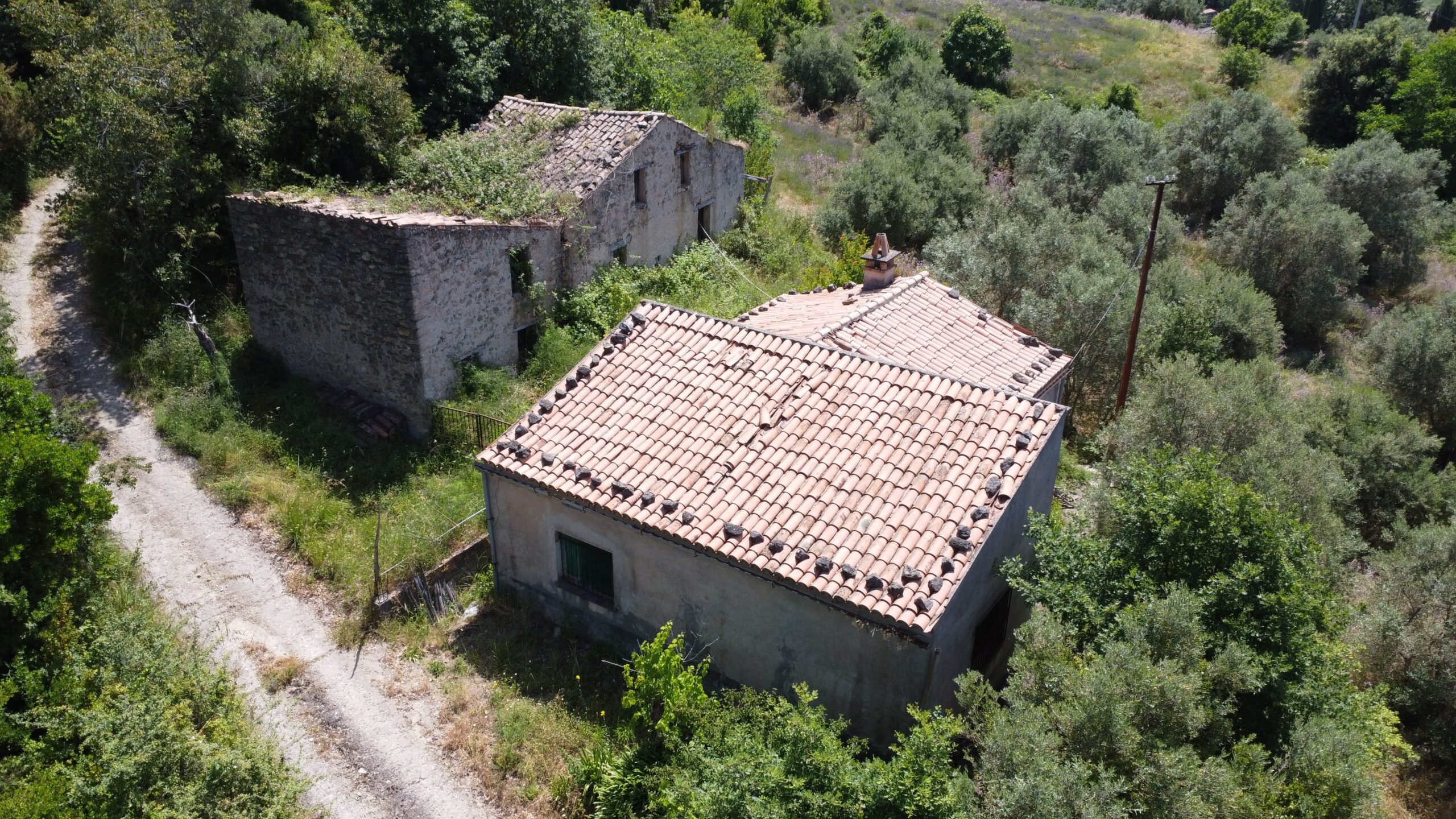 House to be renovated in Sangineto - plot of 18000m² with olive trees, B&B potential.