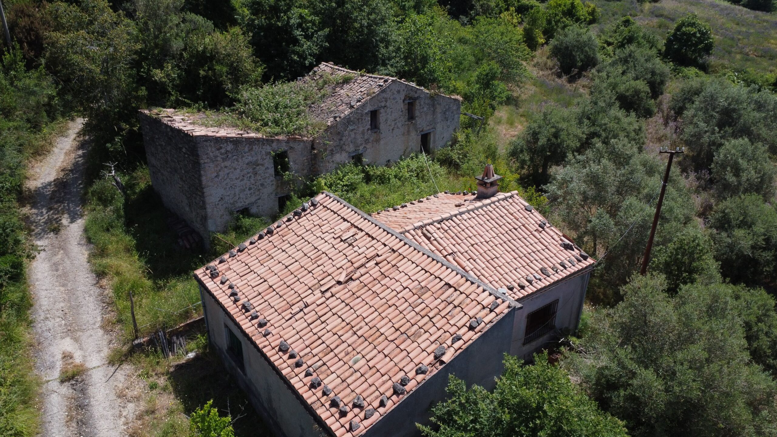 House to be renovated in Sangineto - plot of 18000m² with olive trees, B&B potential.
