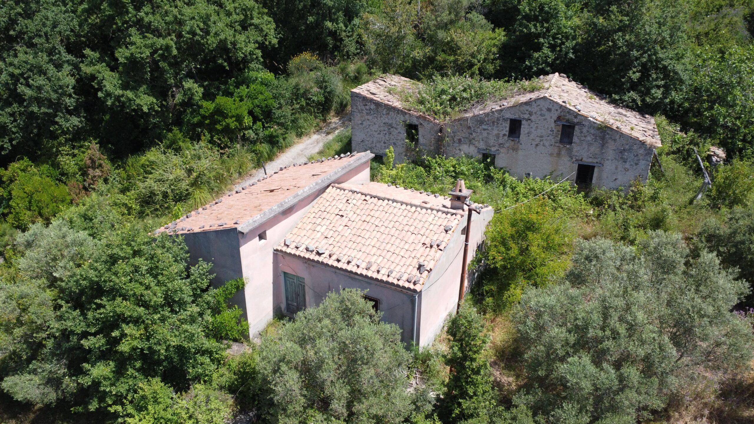 House to be renovated in Sangineto - plot of 18000m² with olive trees, B&B potential.