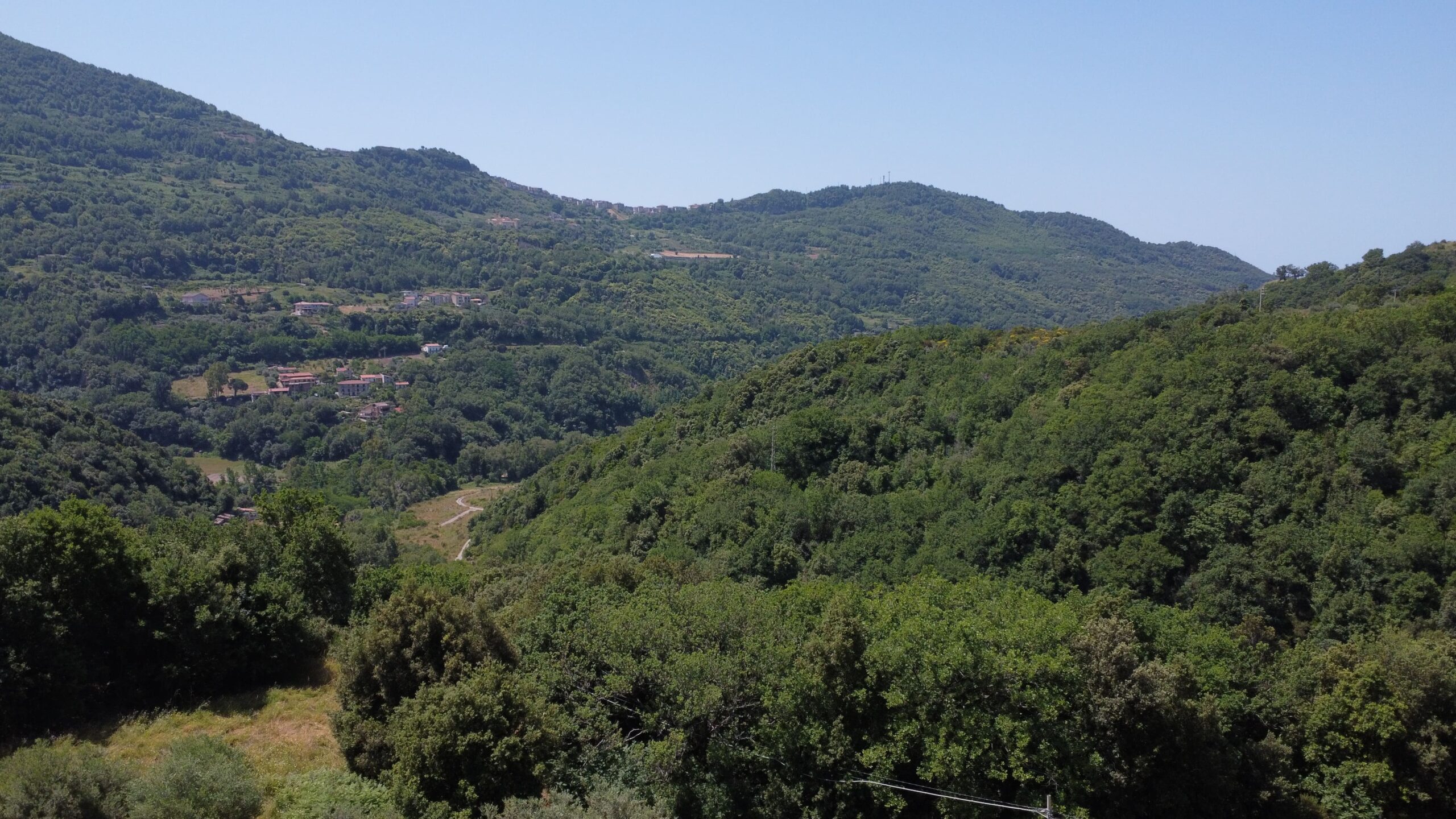 House to be renovated in Sangineto - plot of 18000m² with olive trees, B&B potential.